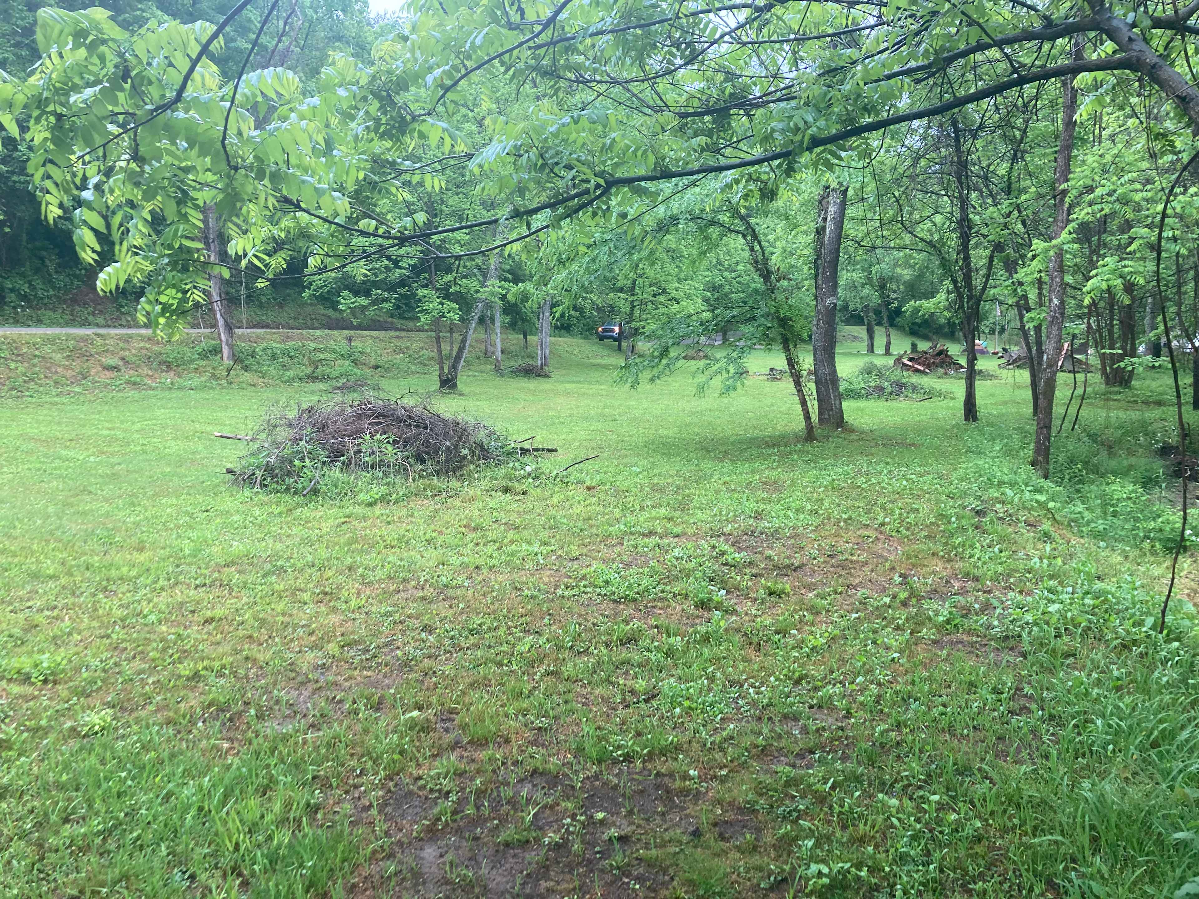 Open field