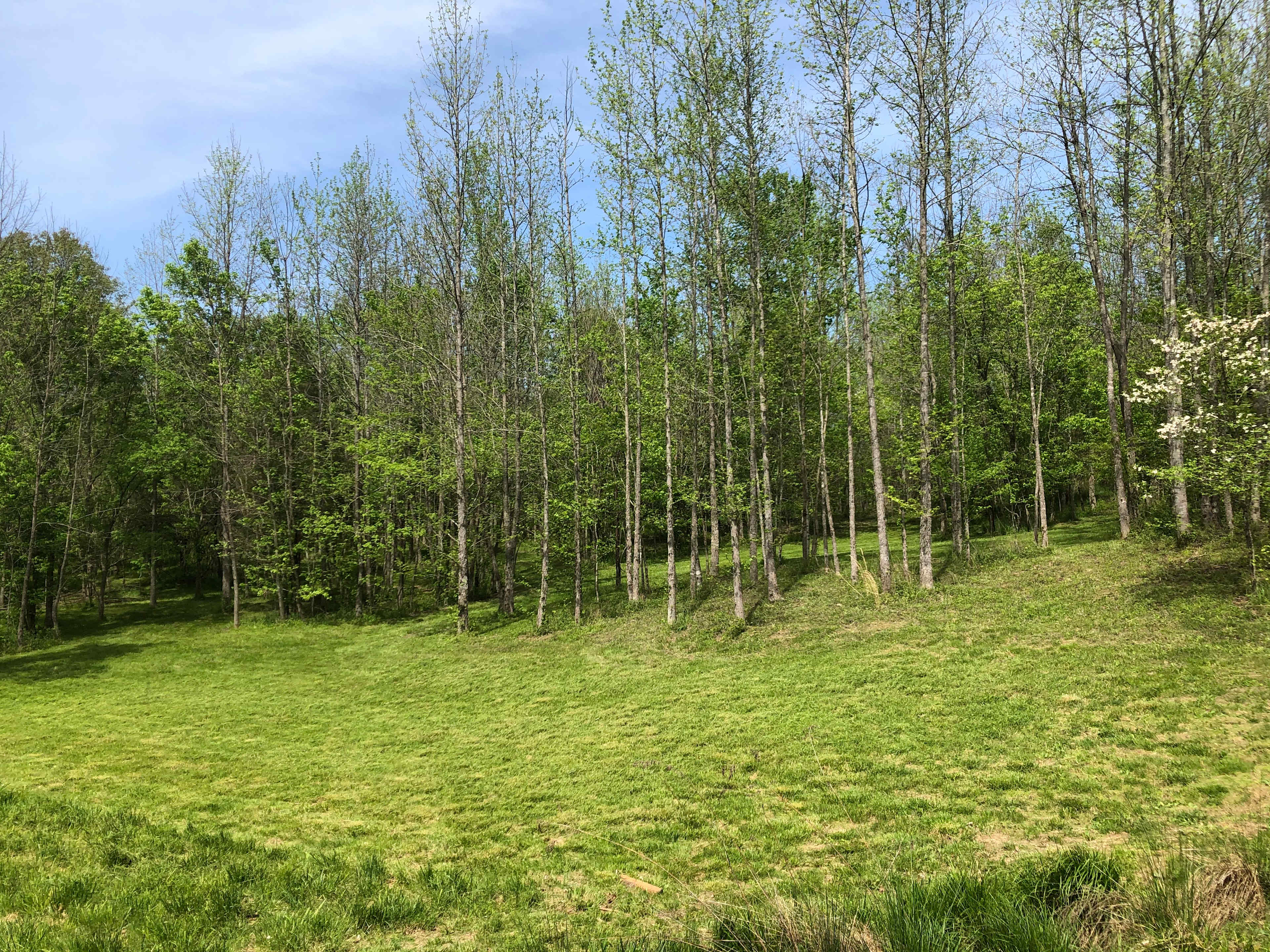 Variety- pond, field, shaded