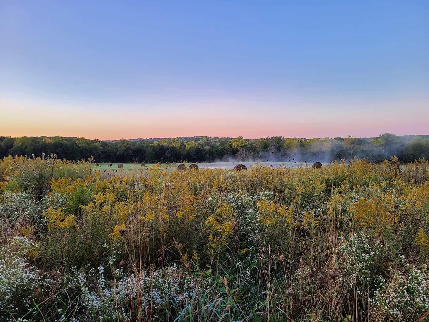 Haven Hollow