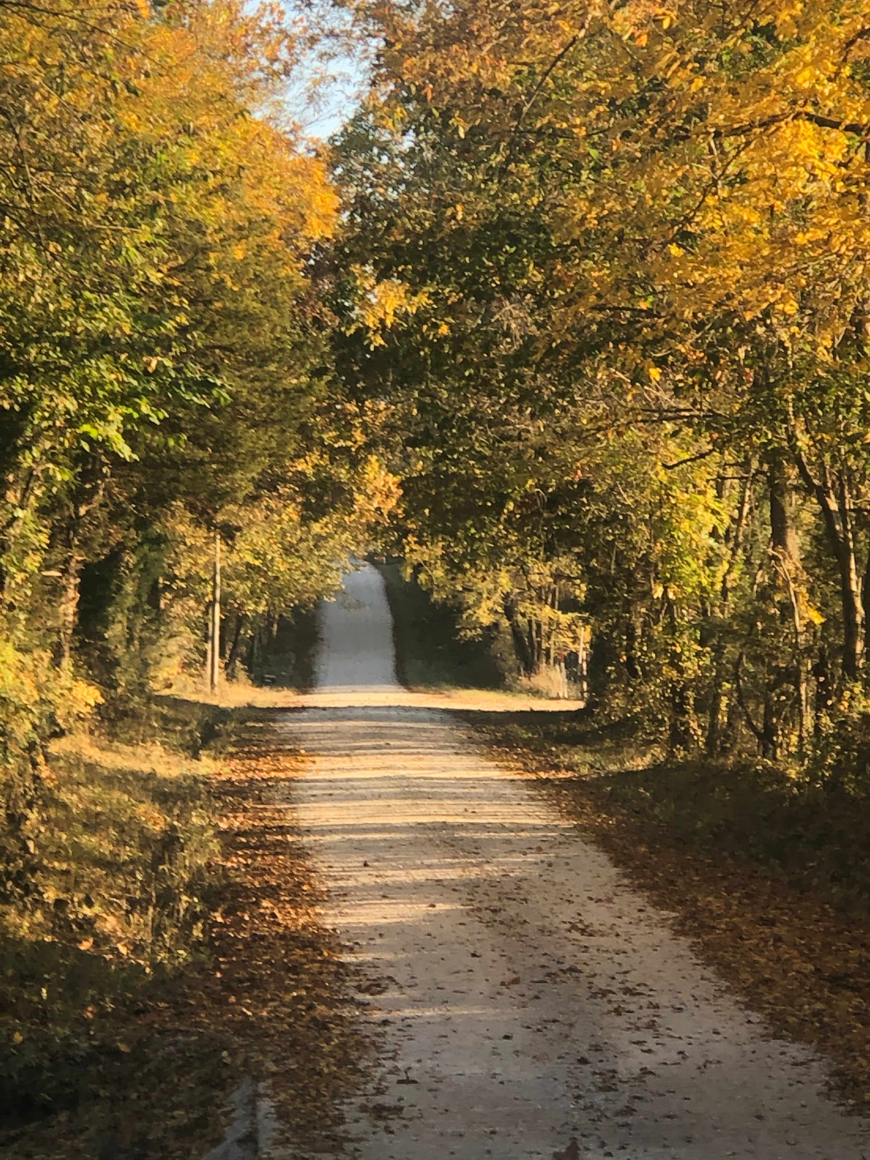 Haven Hollow