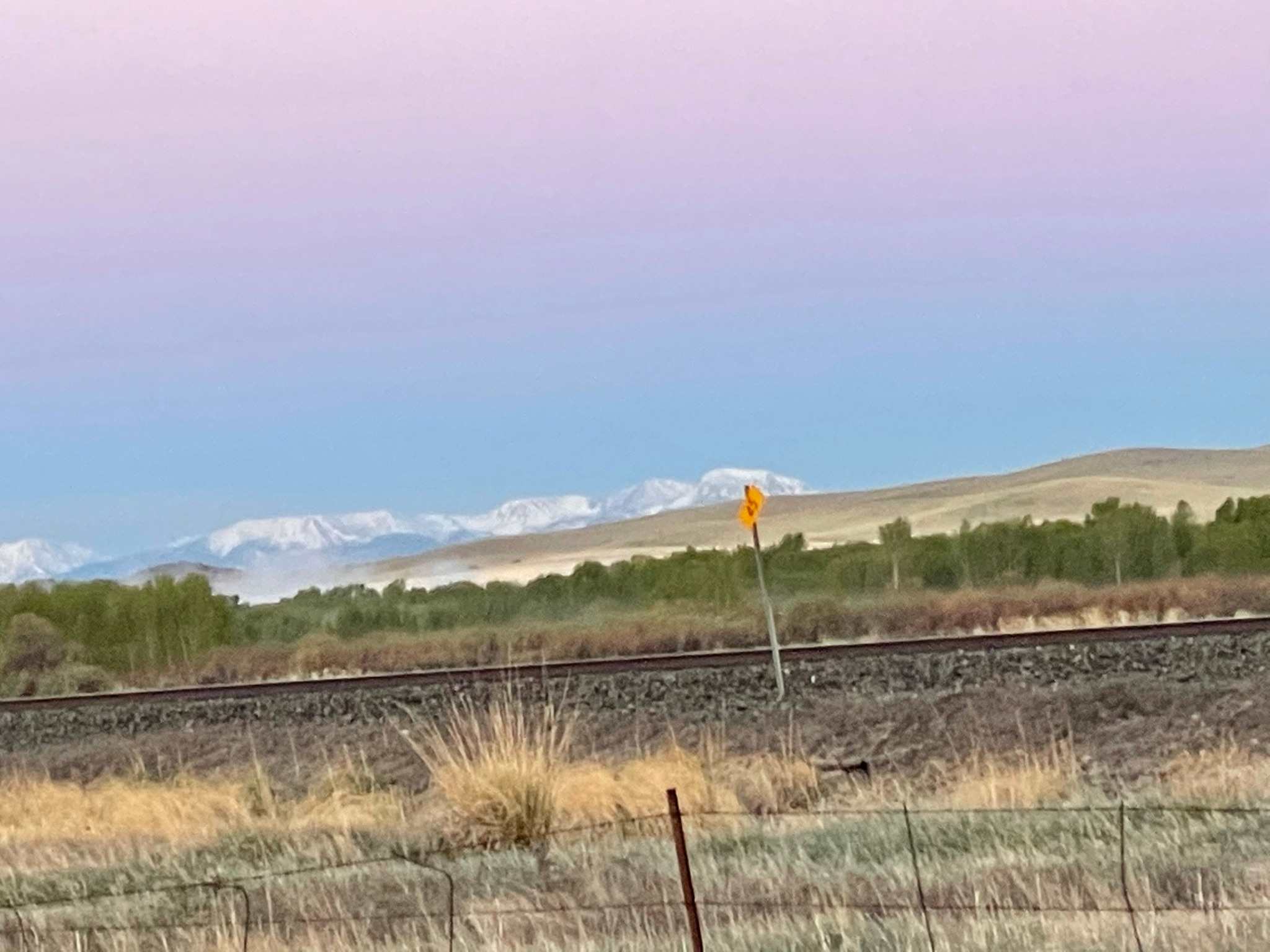 View from the driveway