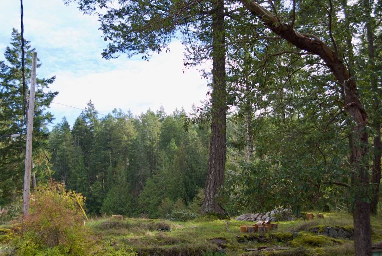 Camping spot.