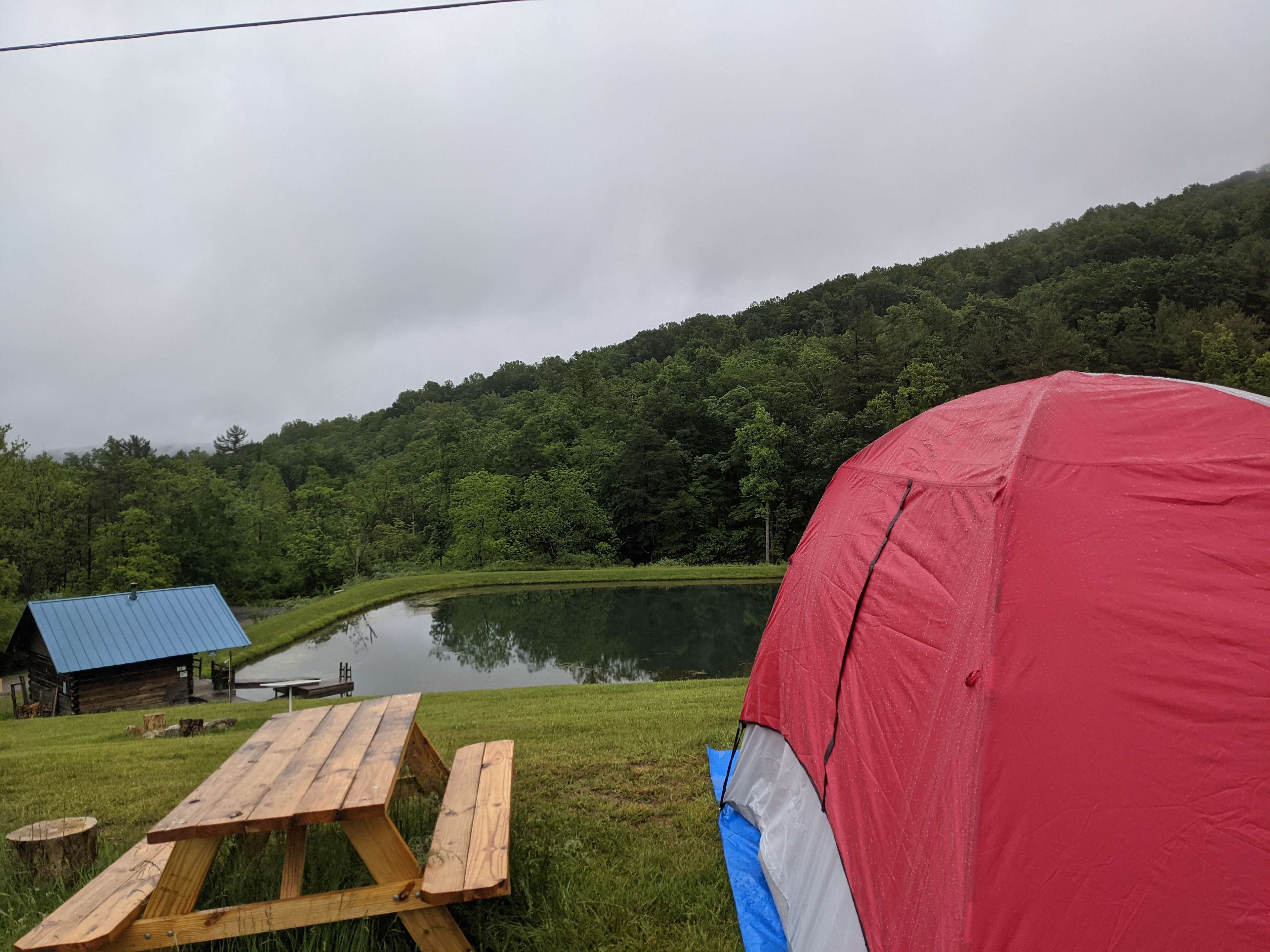 Picture of the site