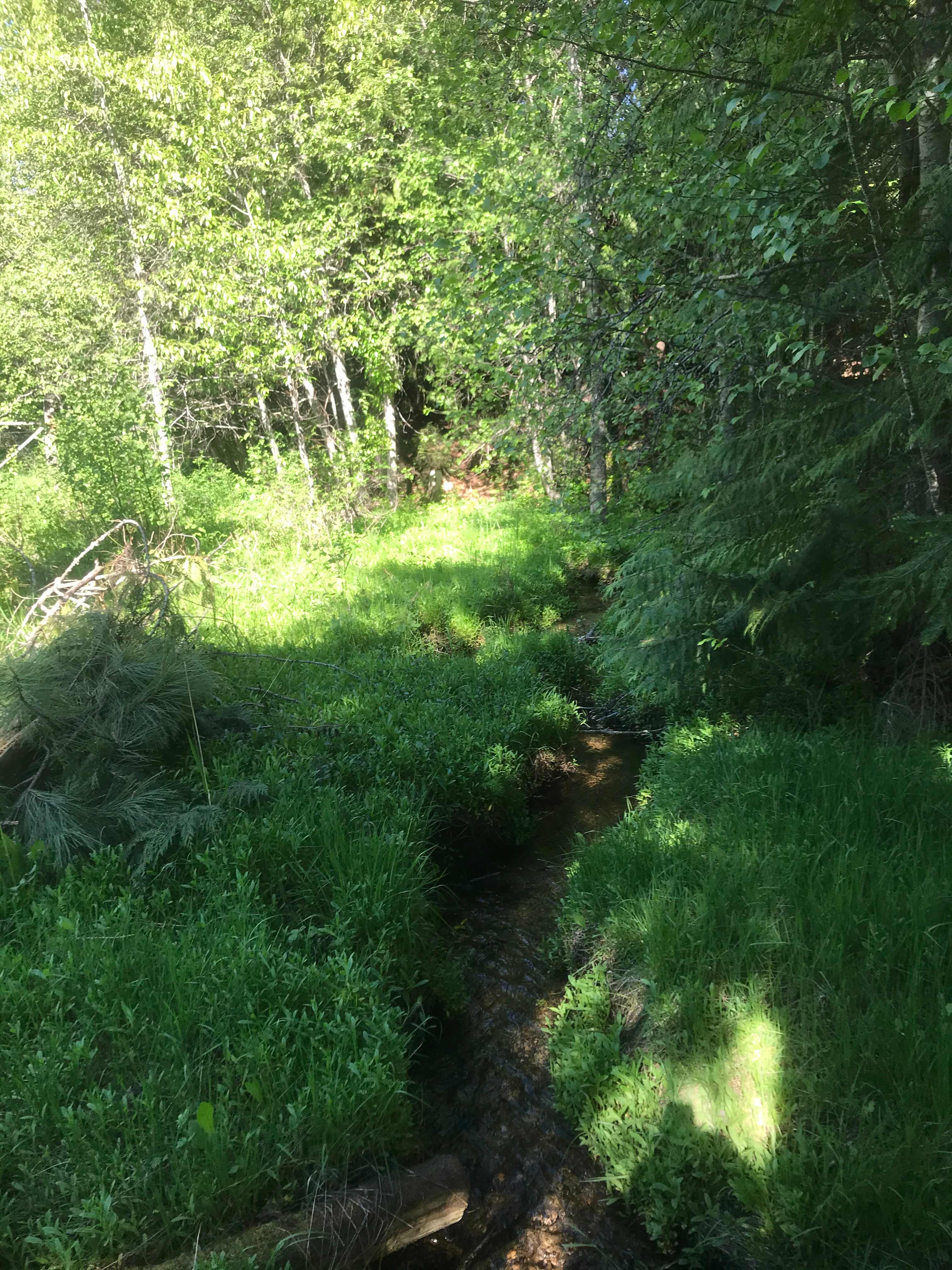 Bearcat acres