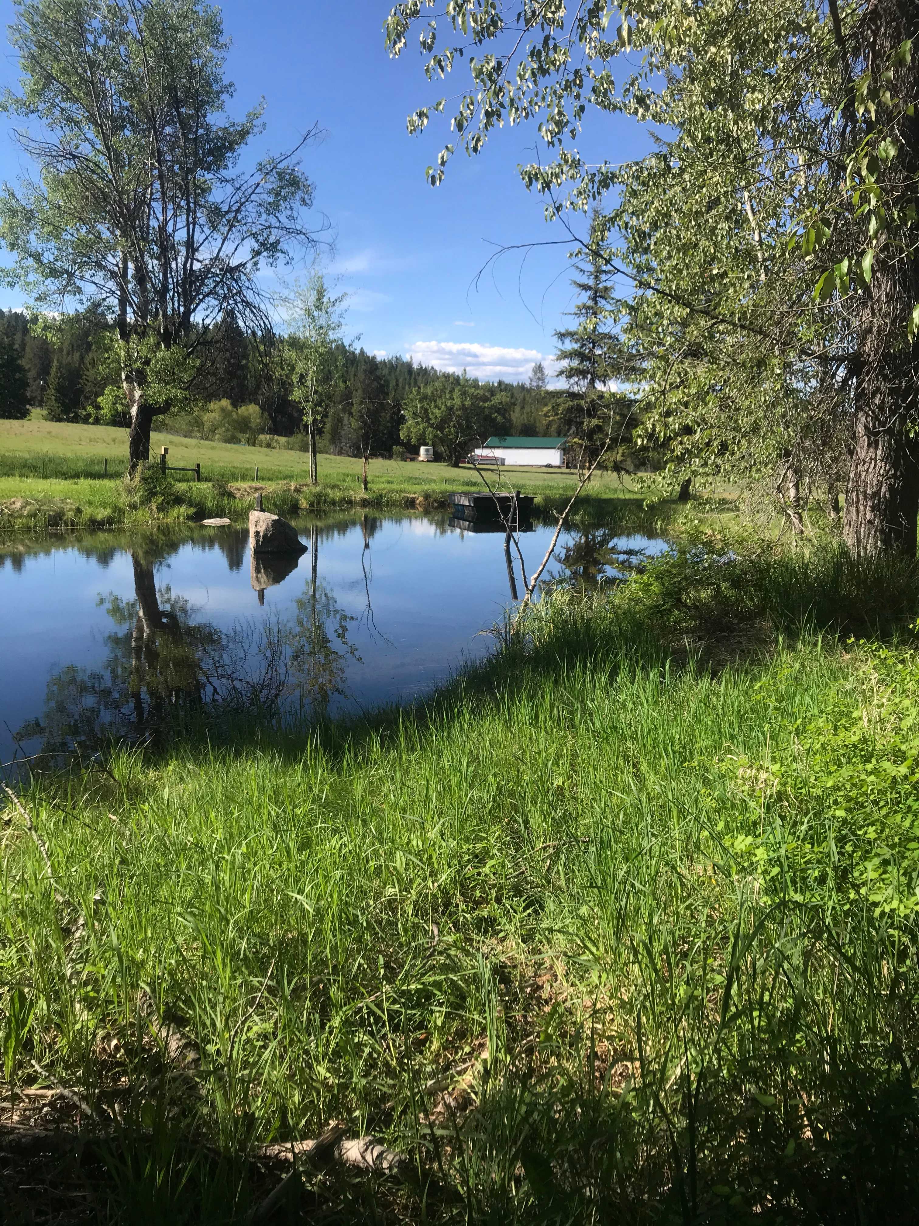 Bearcat acres
