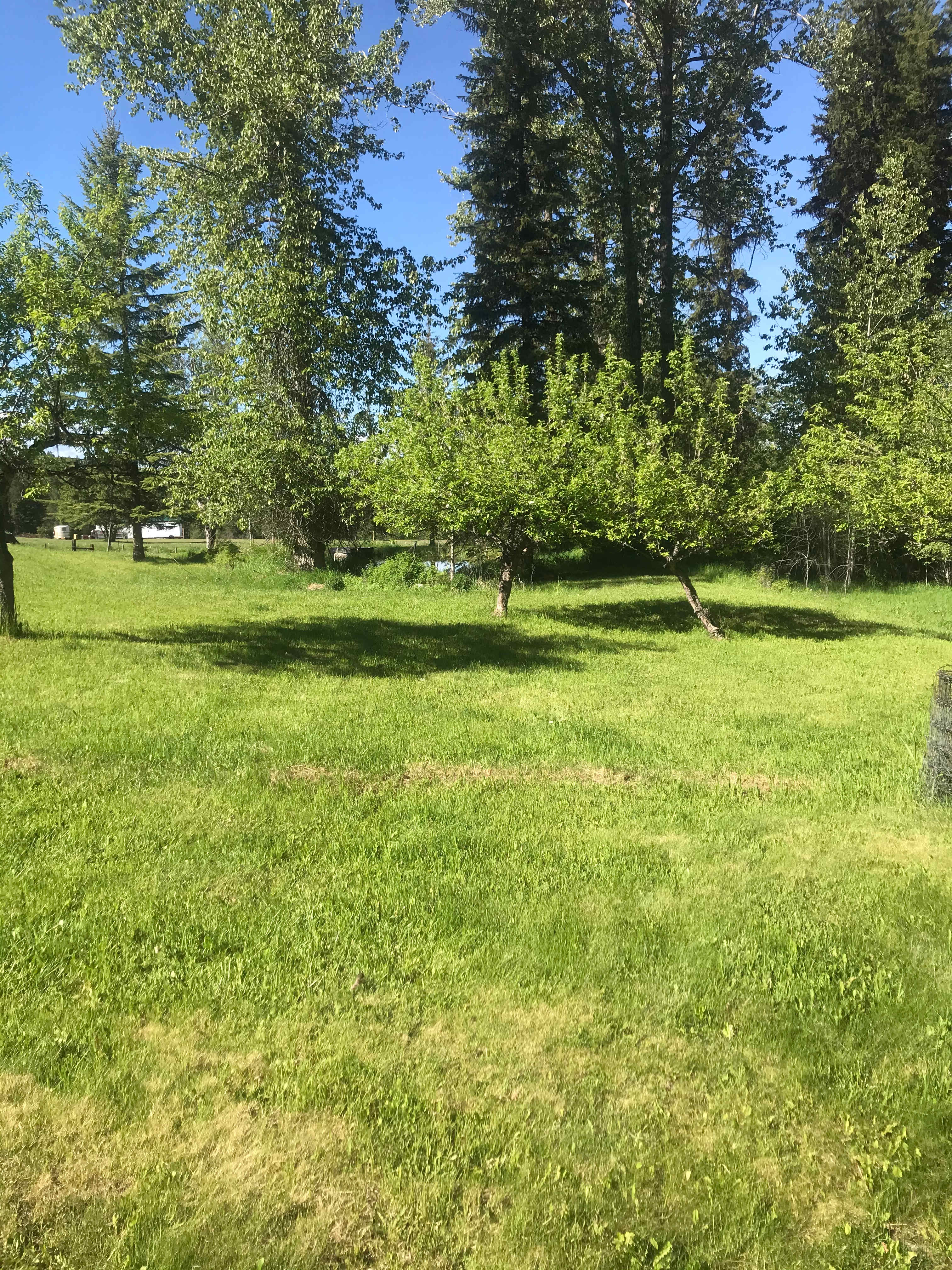 Bearcat acres