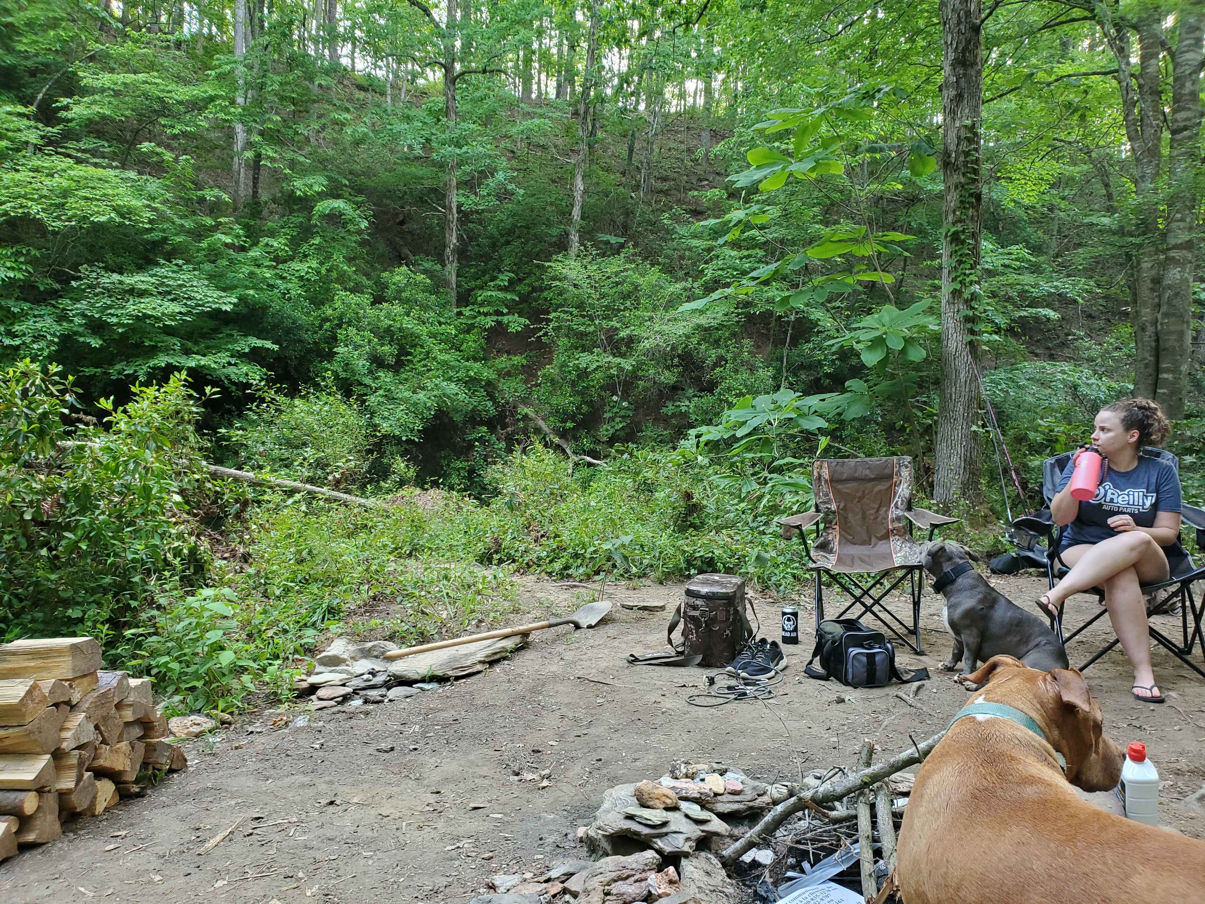 Picture of the site