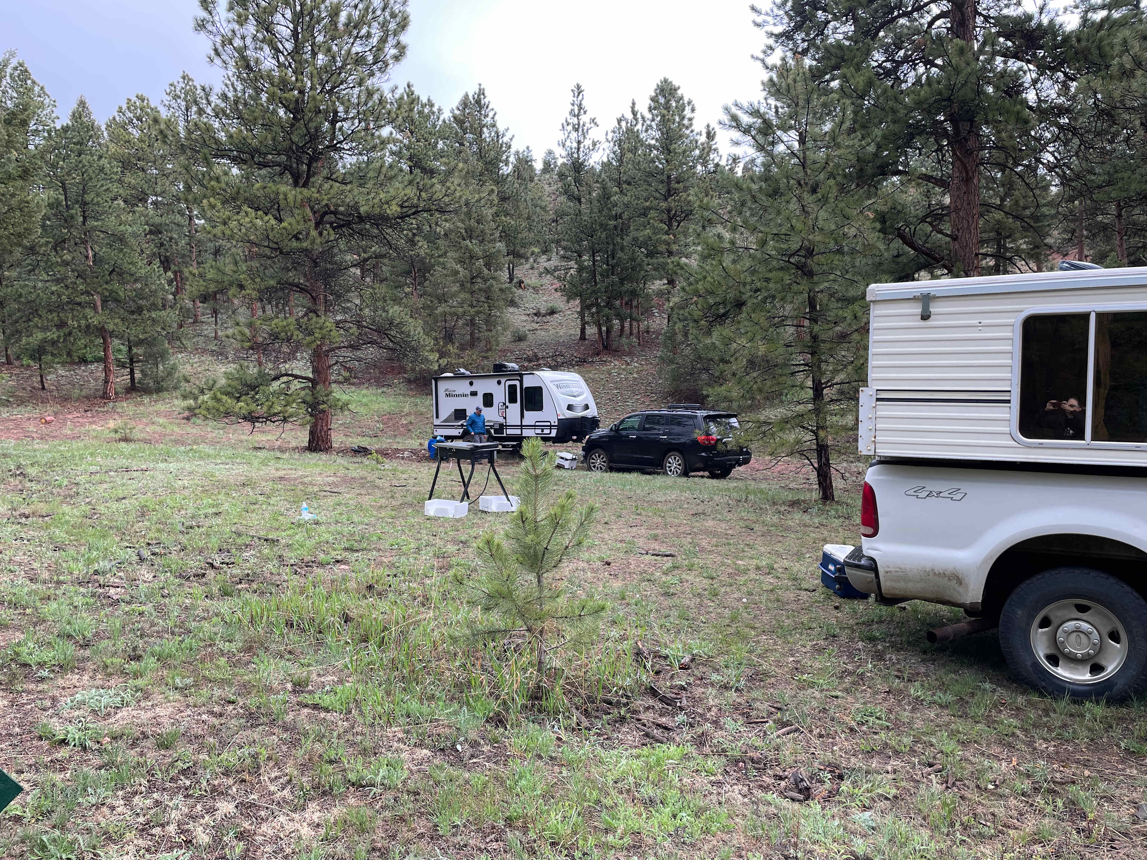Serenity in the Foothills