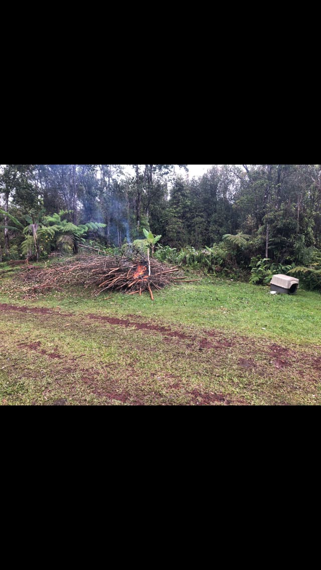 Ixchel Hawai’i - Photo 3