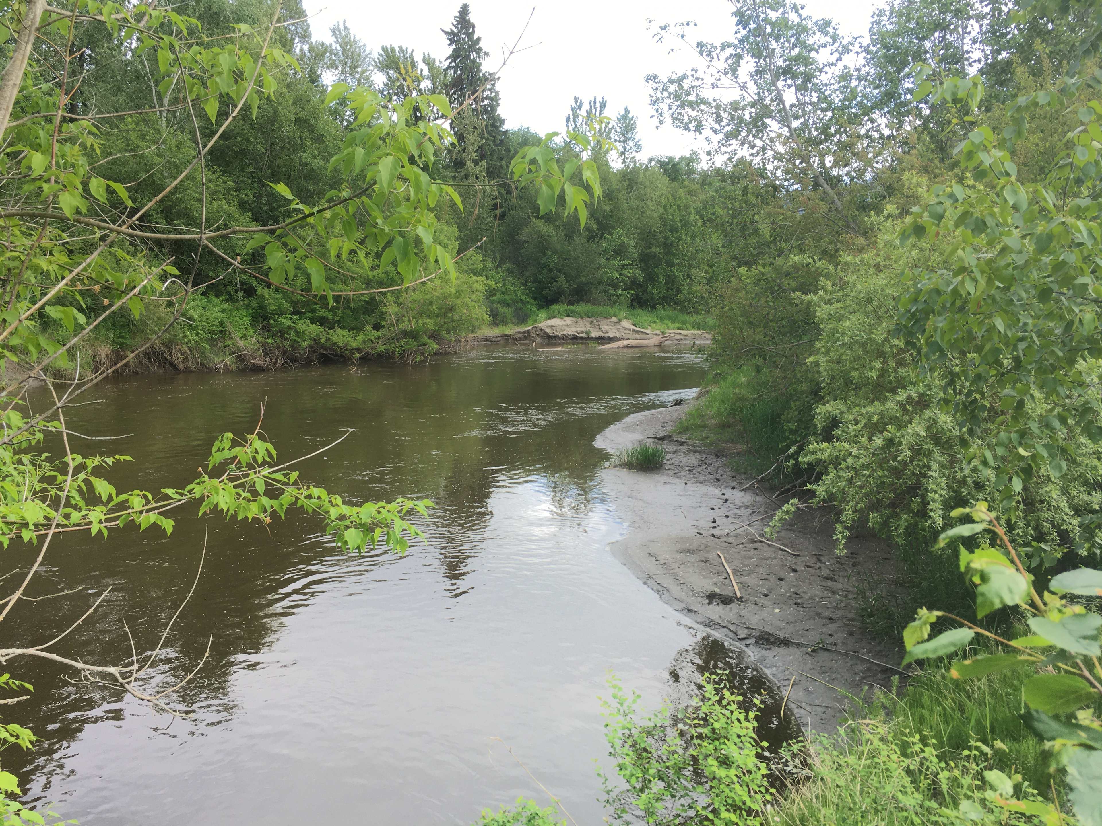 A piece of the salmon valley