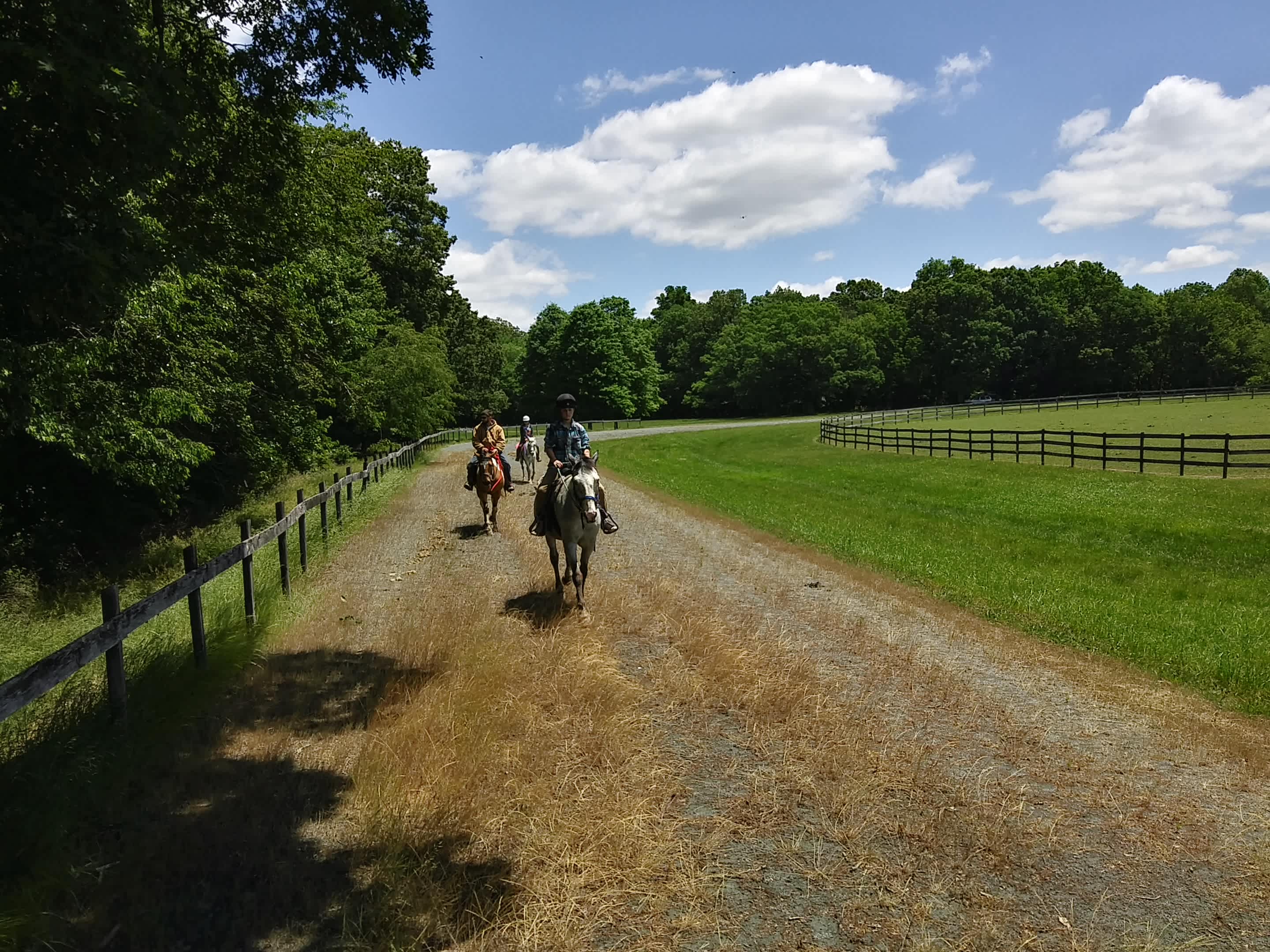 Bellview Farm