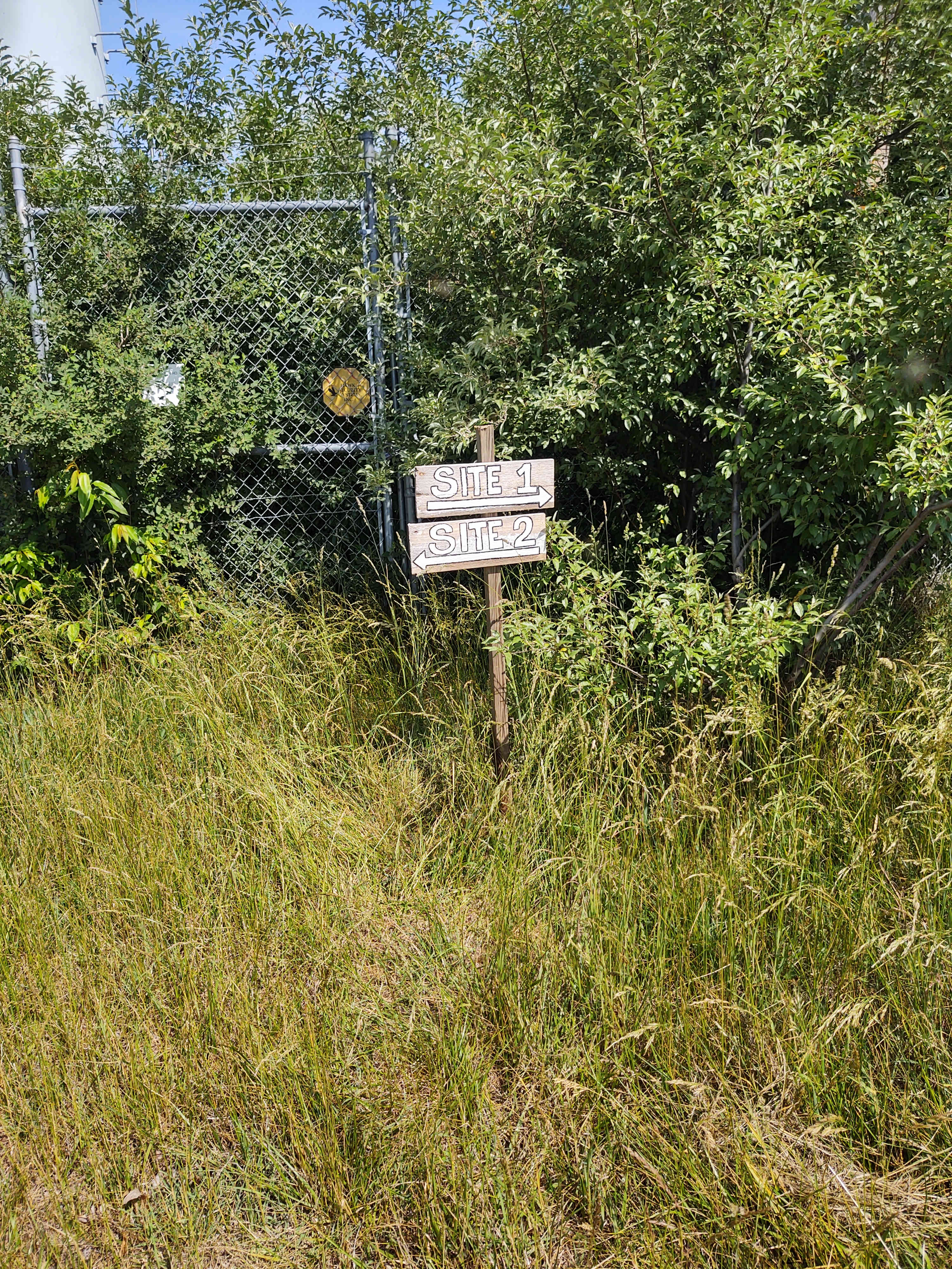 Picture of the site
