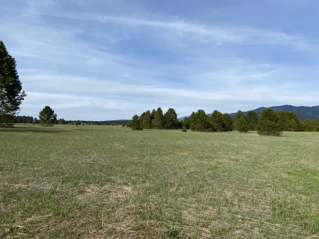 23 Acres of Peace. Cascade, Idaho