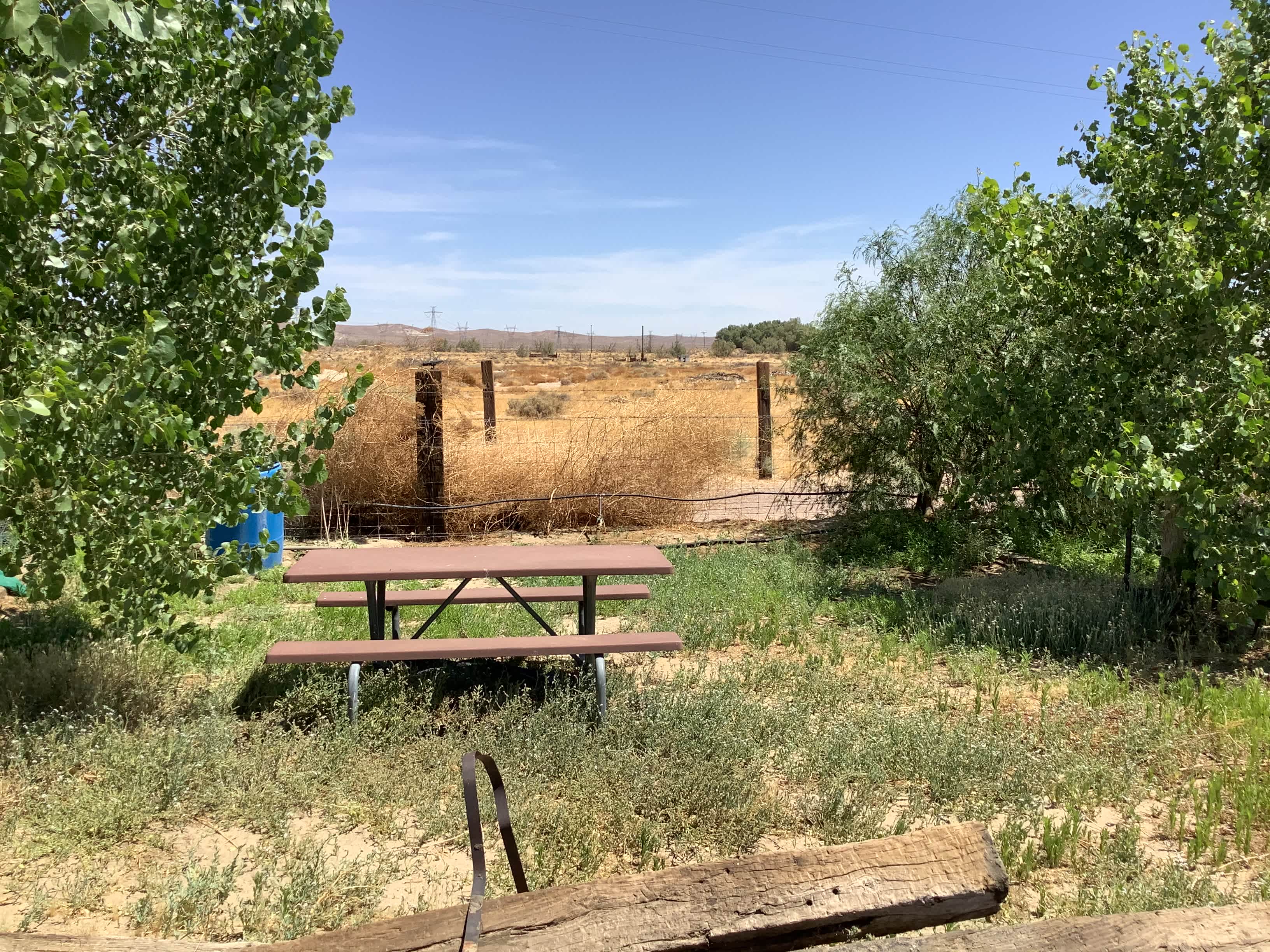 Toni C.’s Land