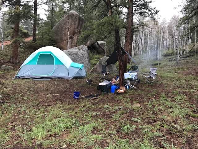 Picture of the site