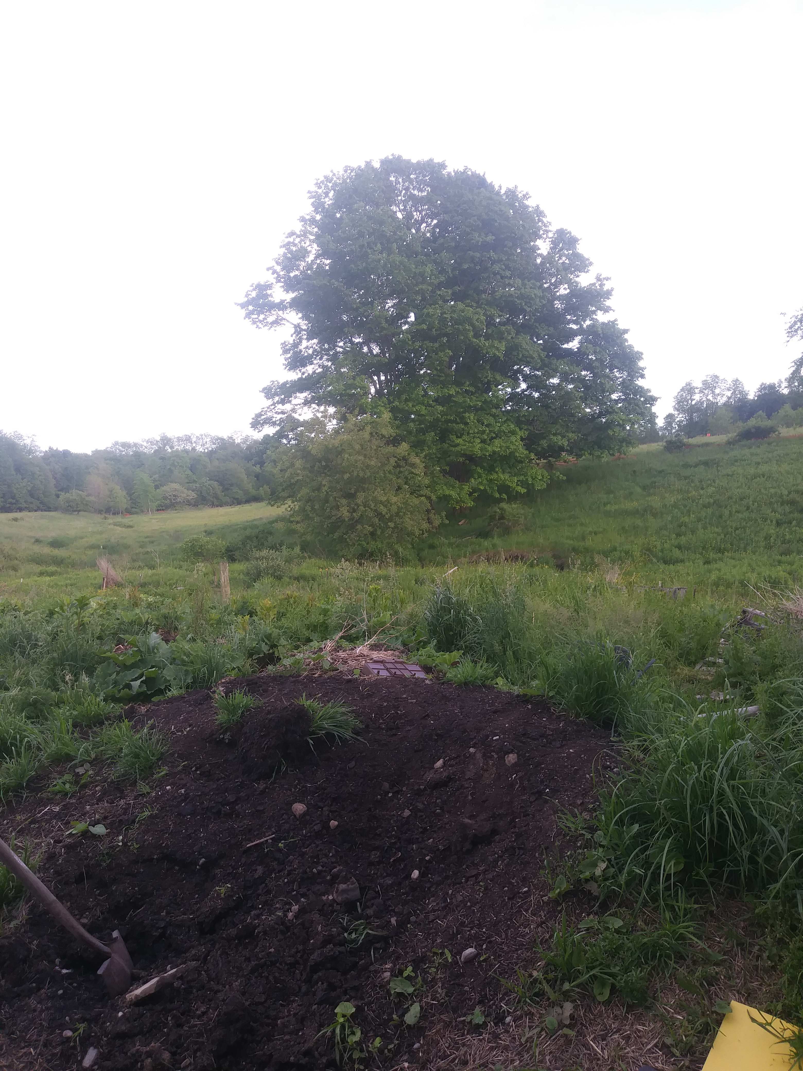 David S.’s Land