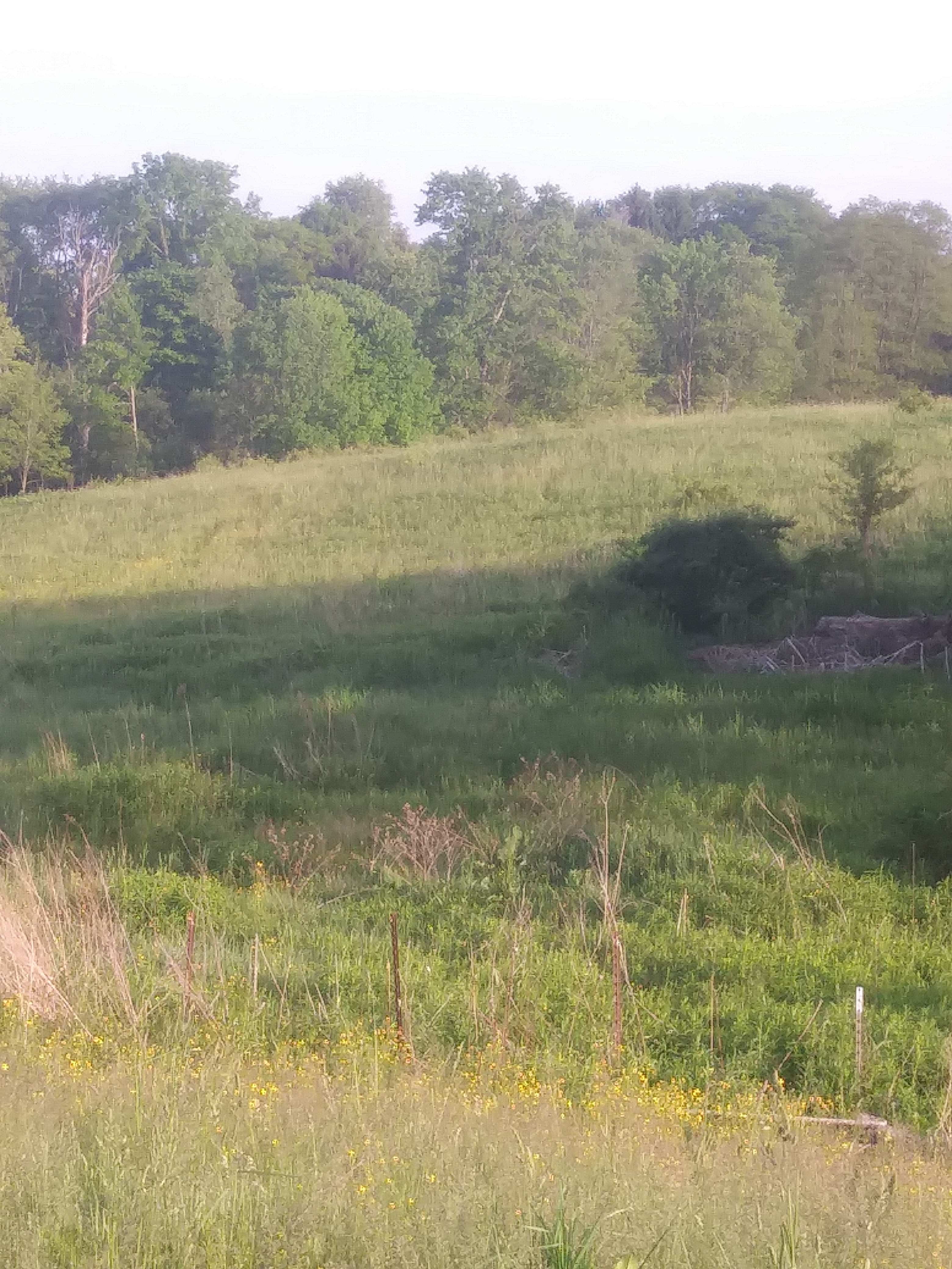 David S.’s Land