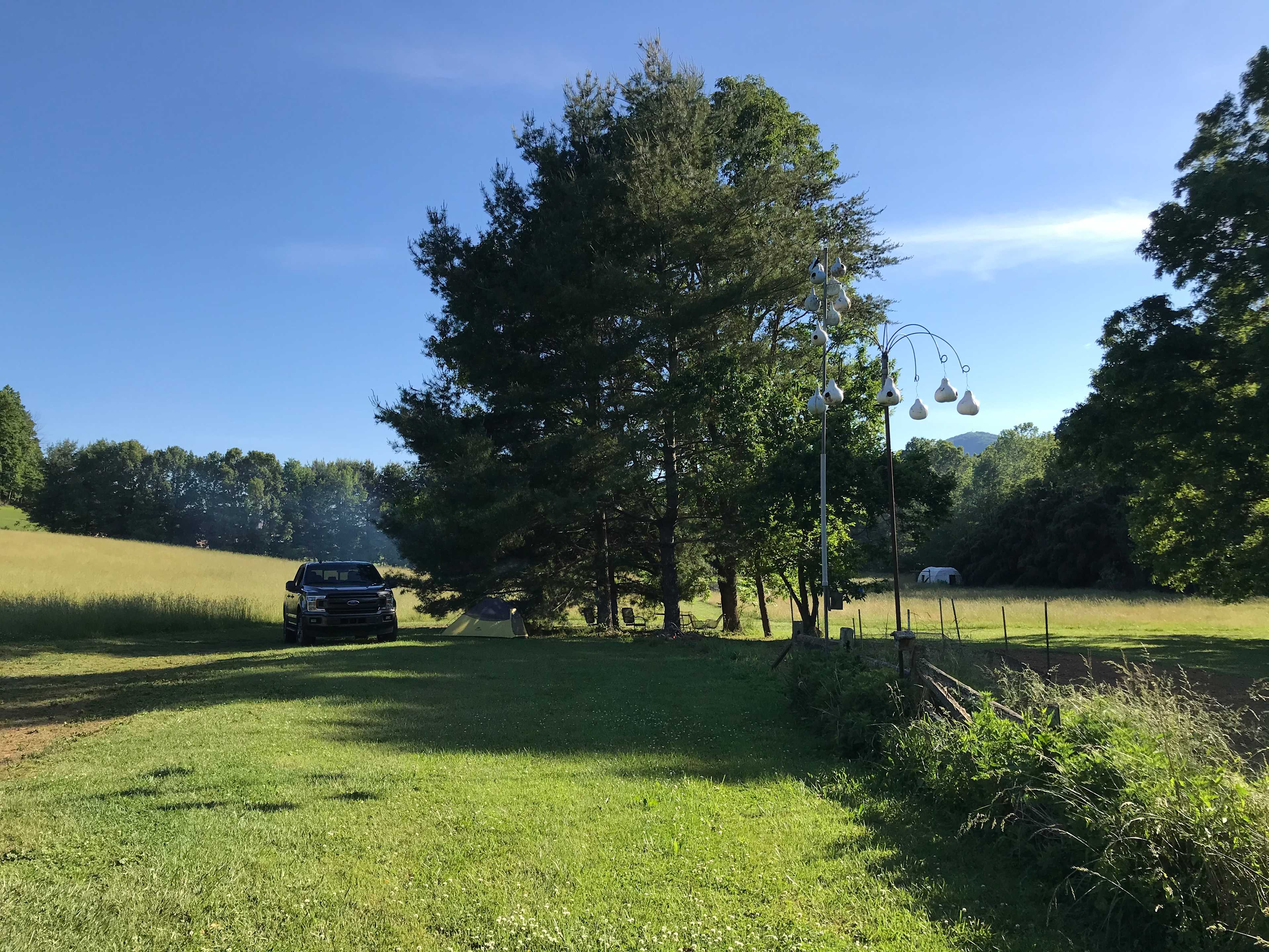 Picture of the site