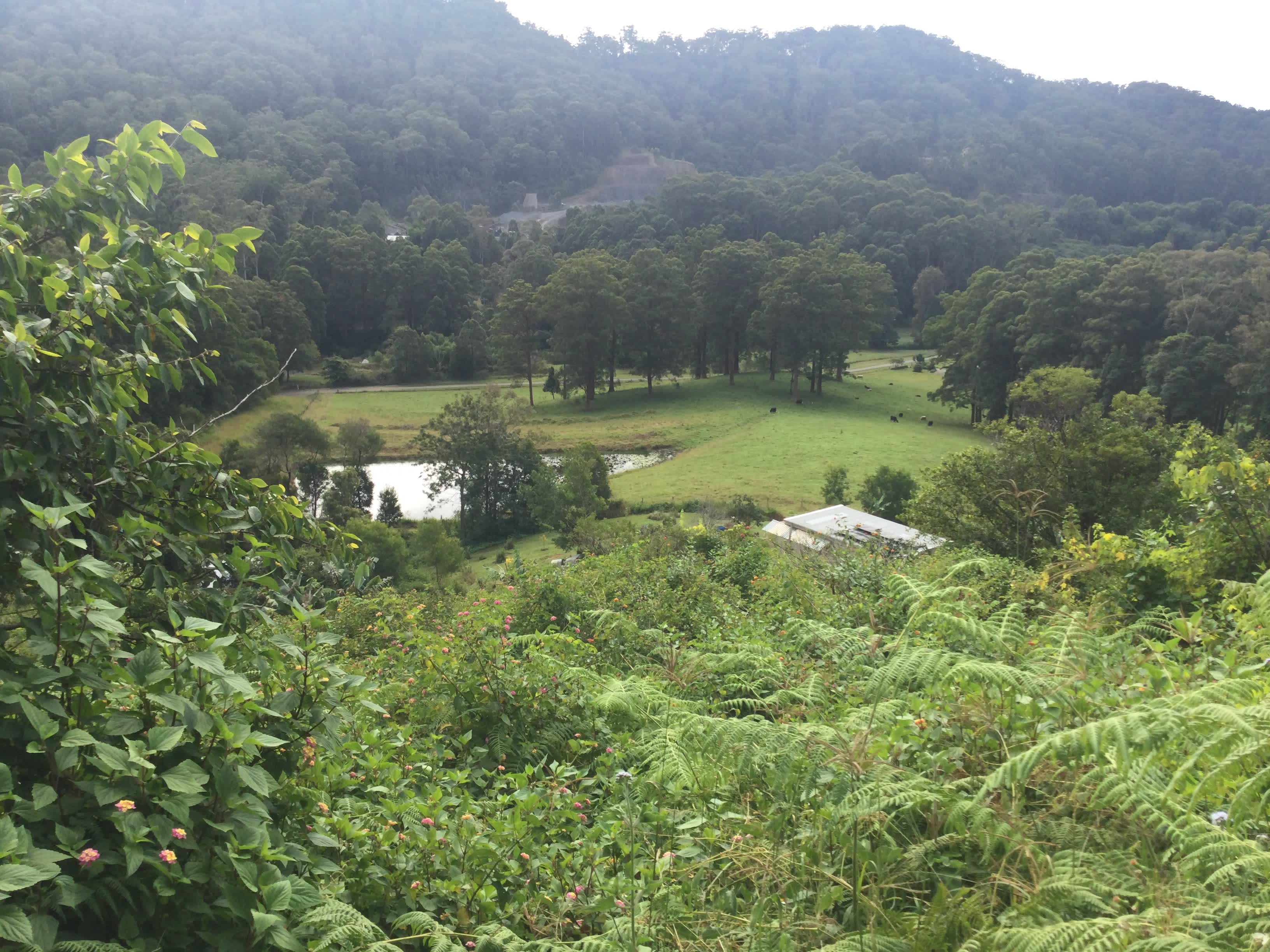 State Forest, Ocean Views