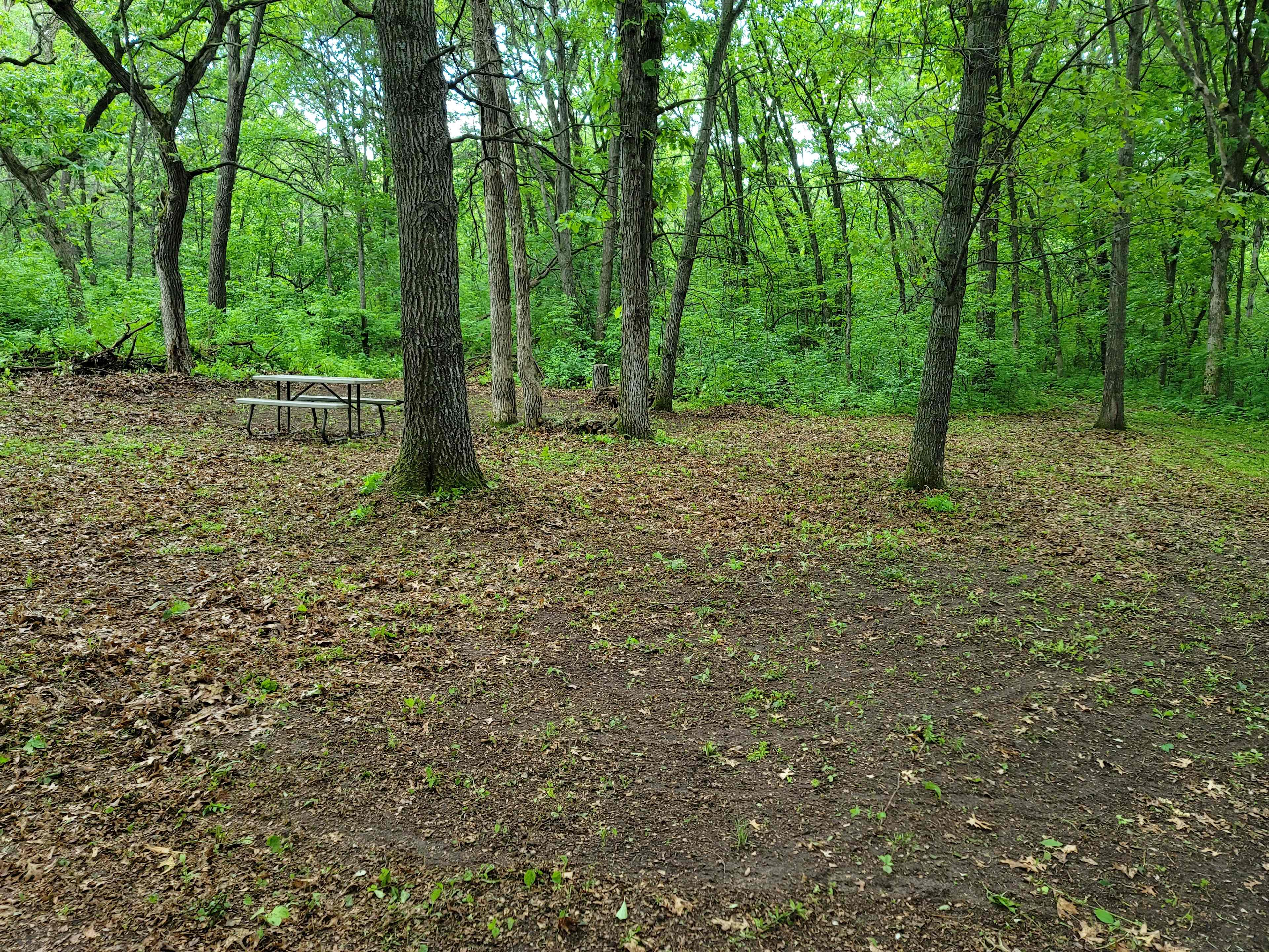 Site 1