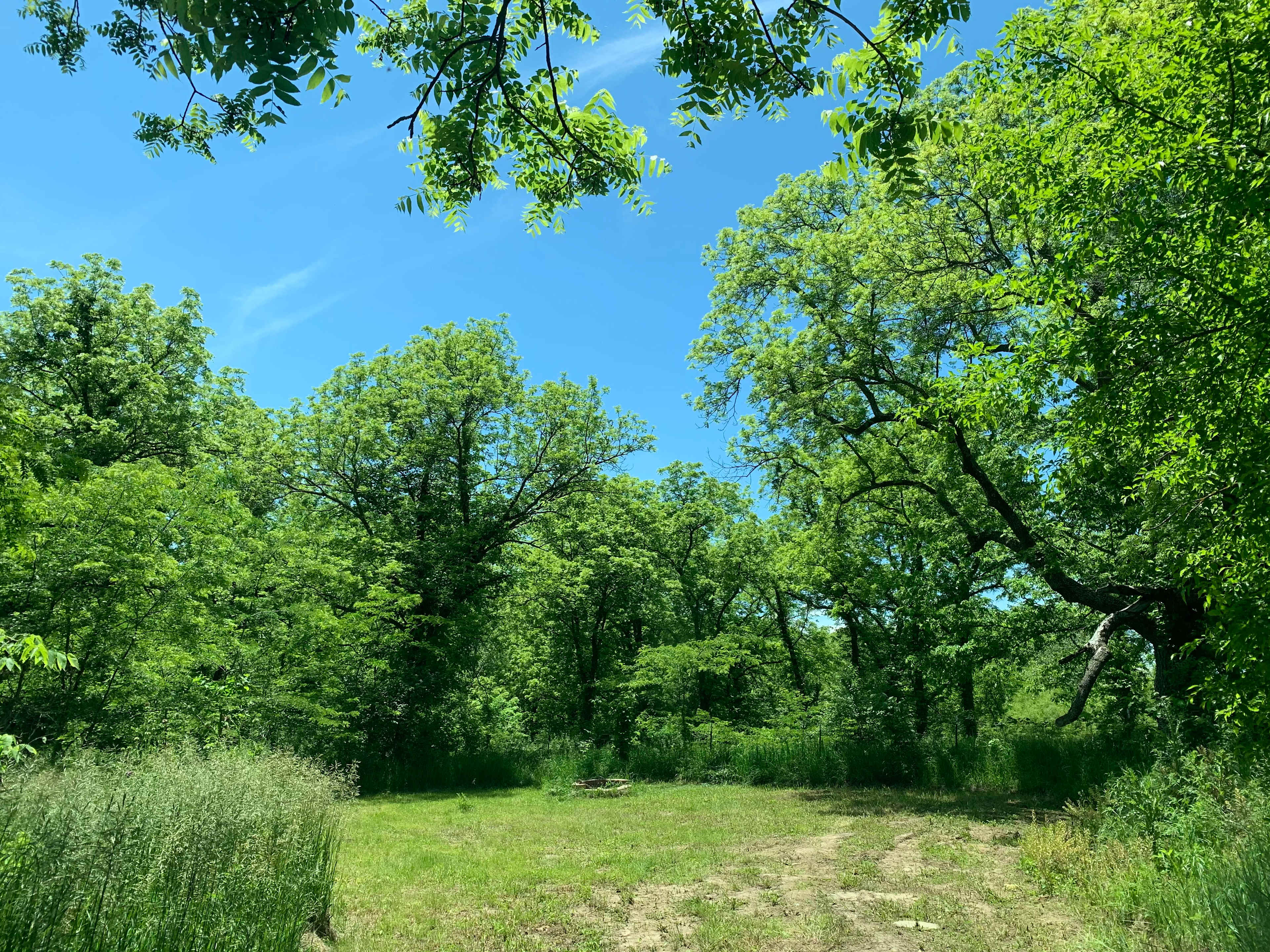 Perdue Homestead Farm