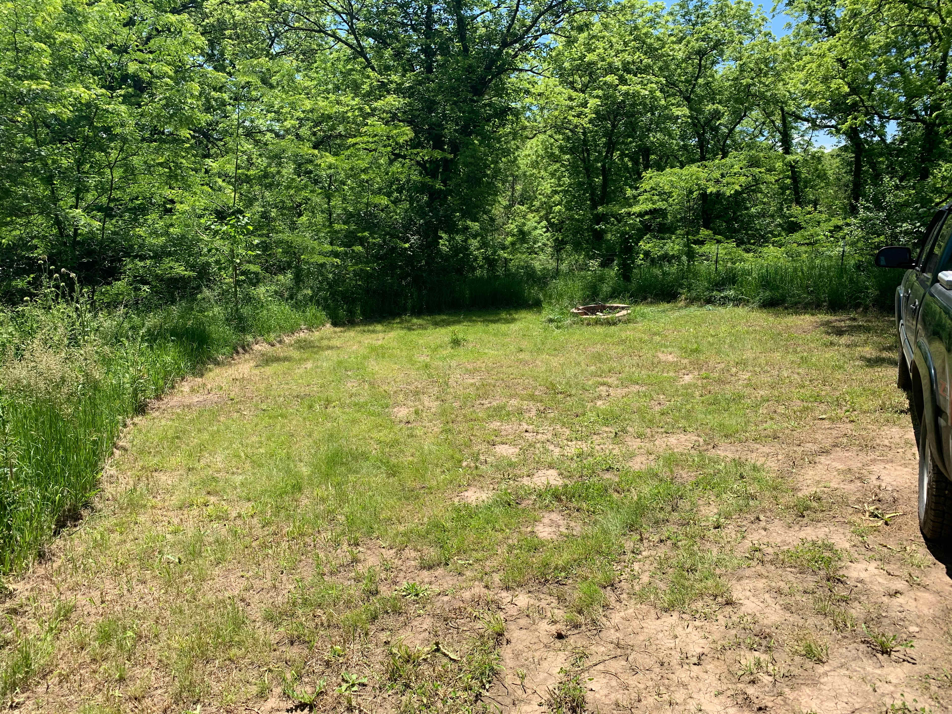 Picture of the site