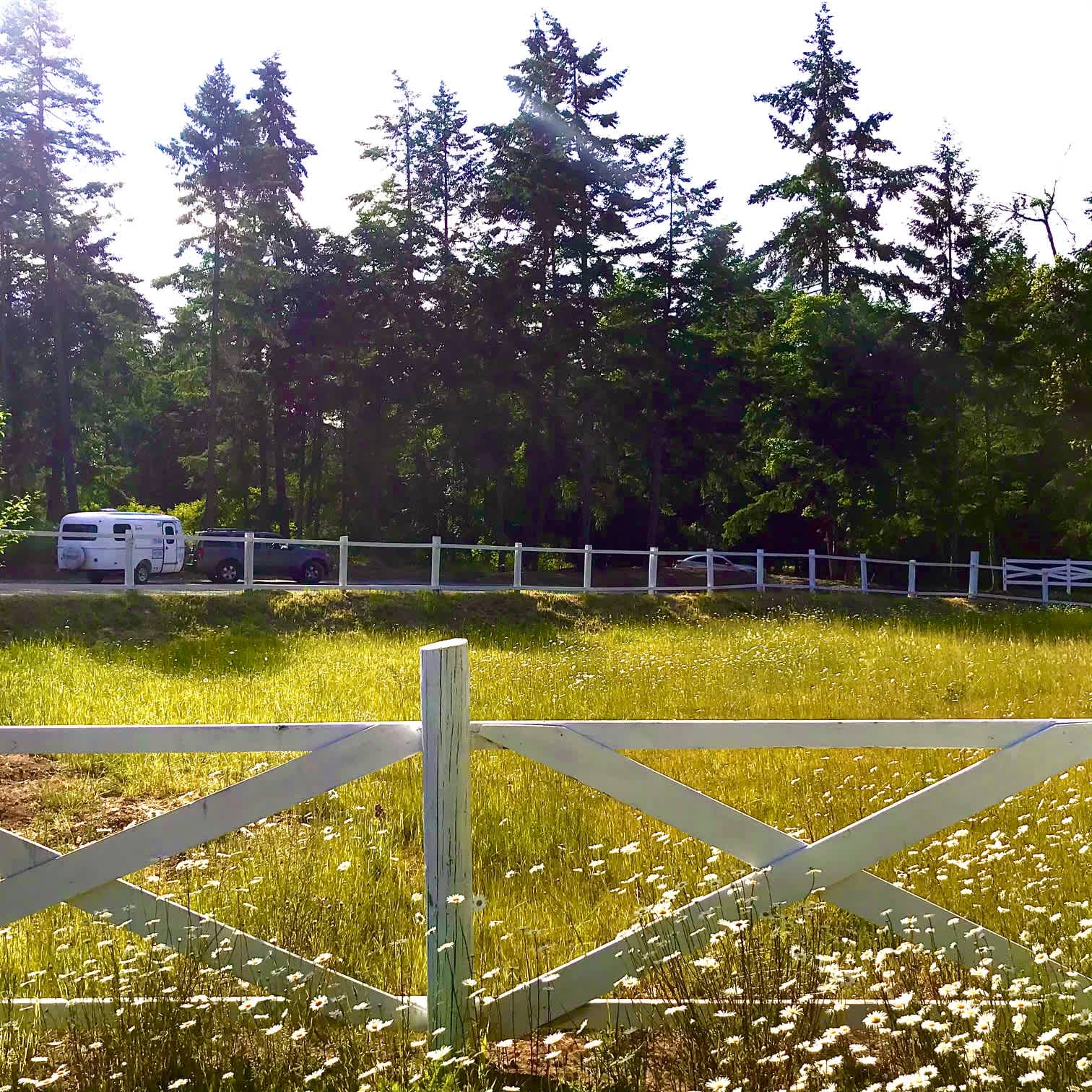 Wild Coast Parksville Campsite