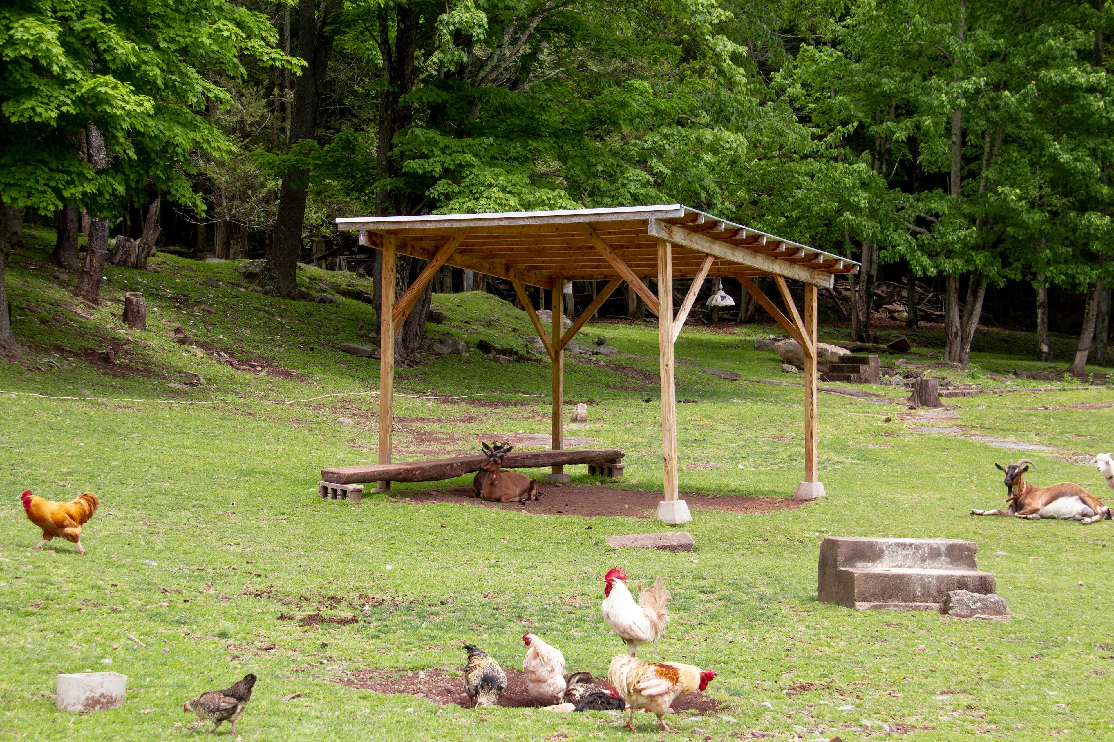 Cute sitting area perfect for petting the animals. 