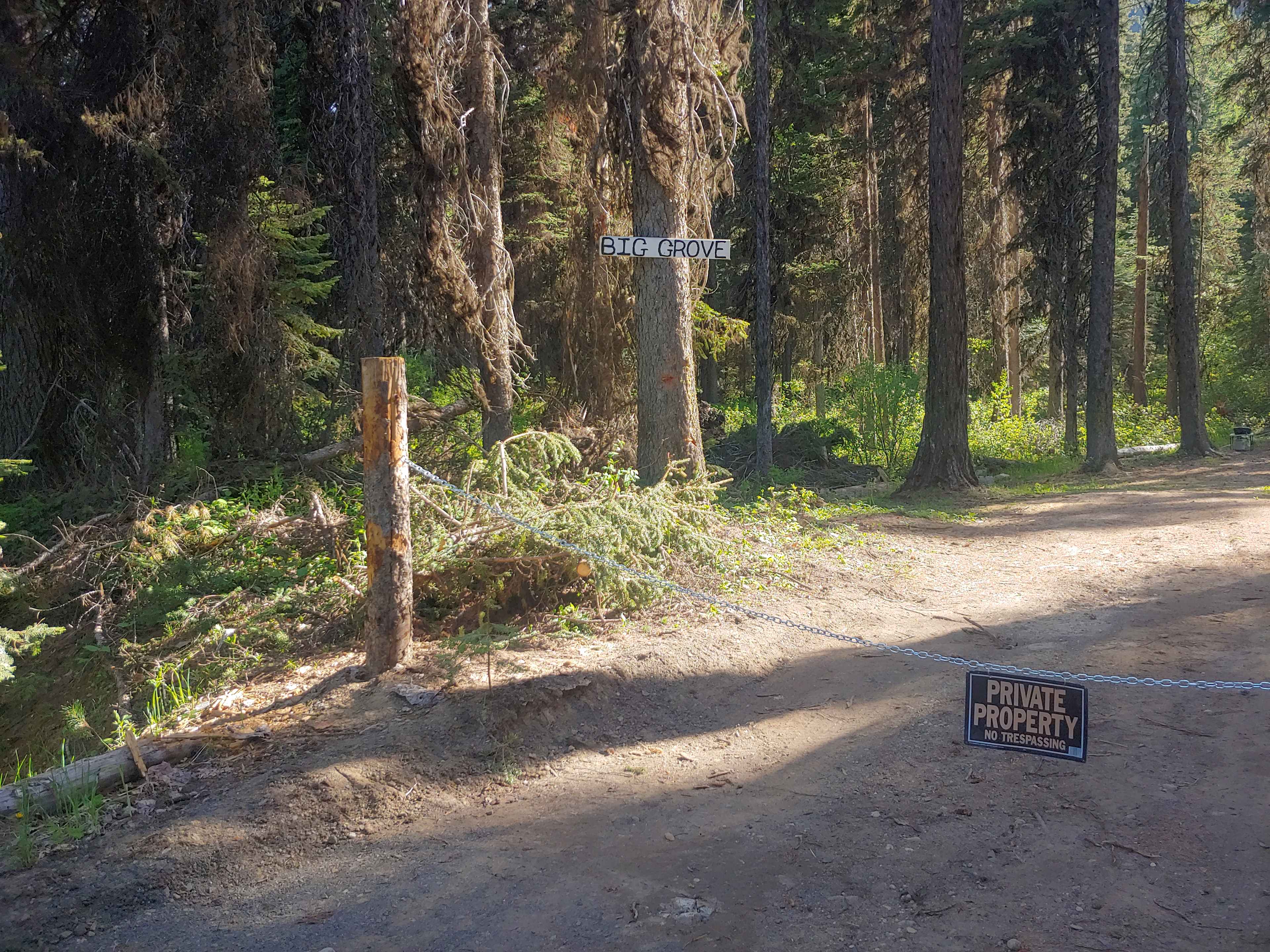 Picture of the site
