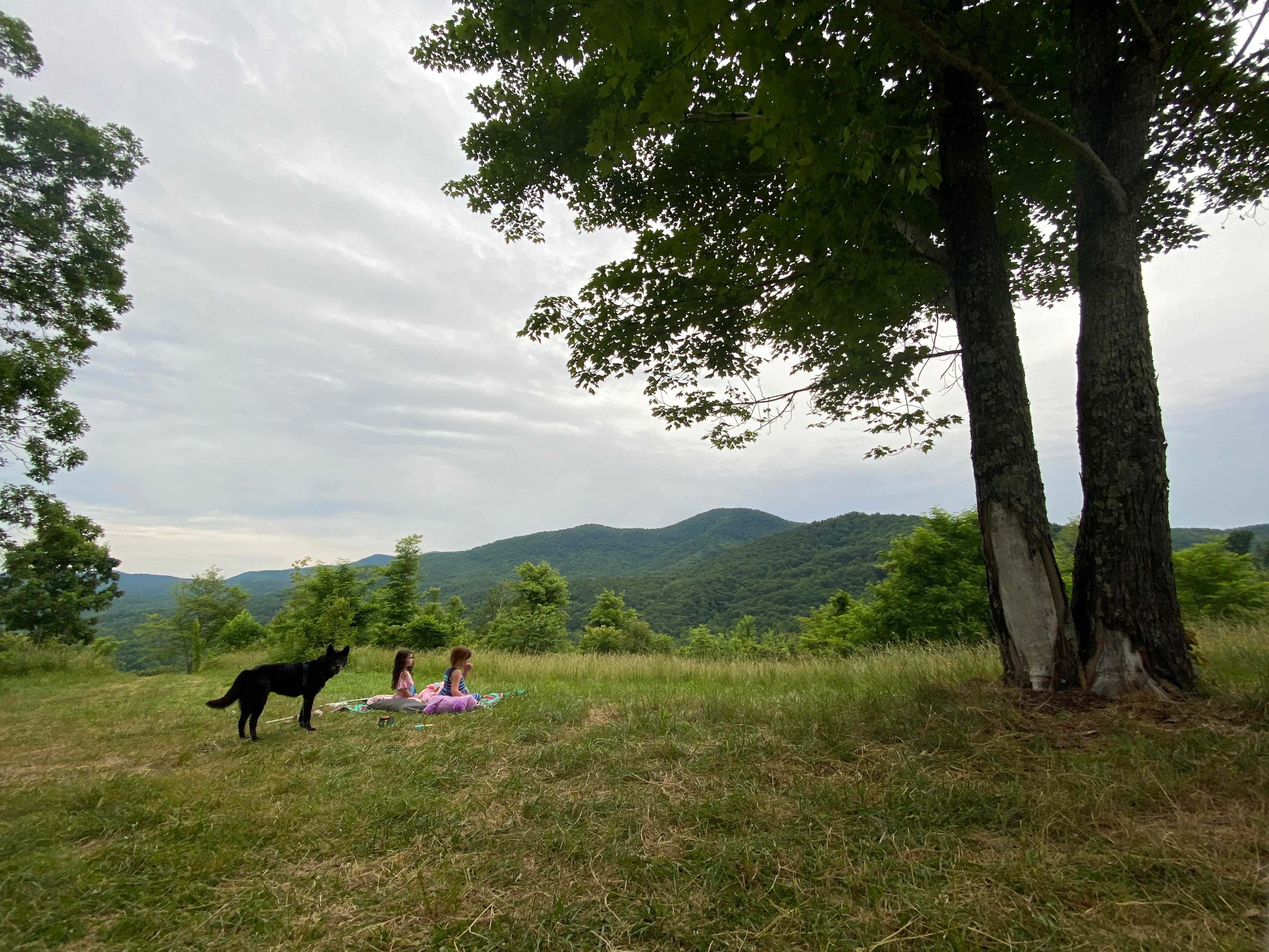 Bolin Knob Meadows