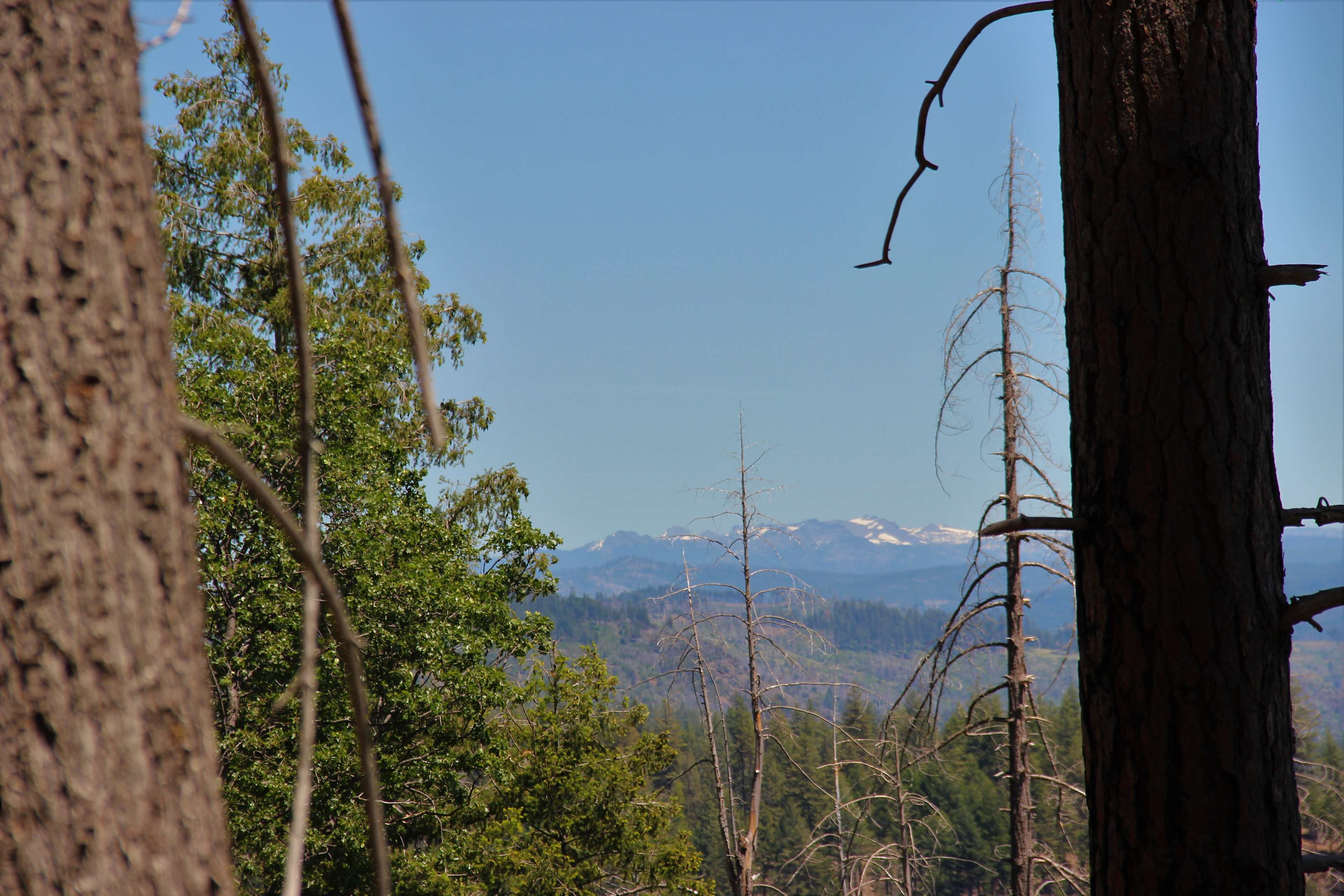Sierra Mountain views from the property.