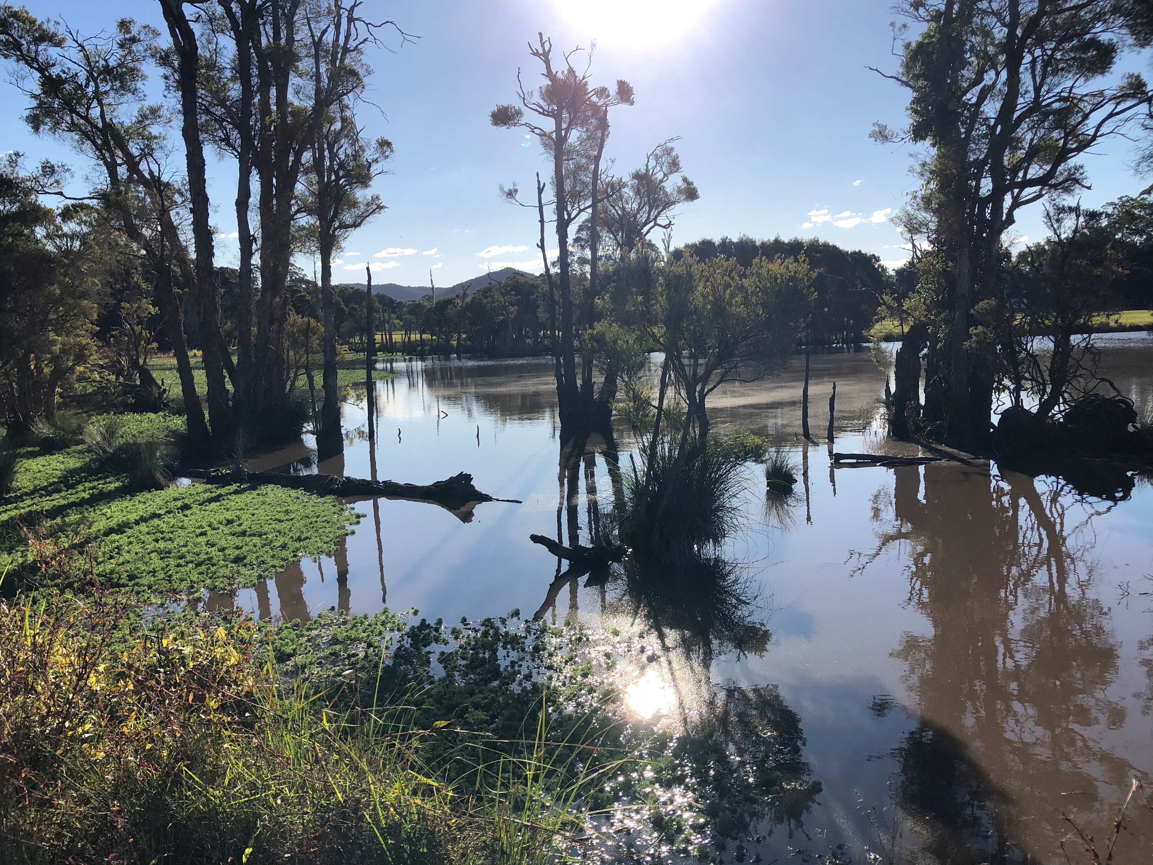 Lakestead Farm
