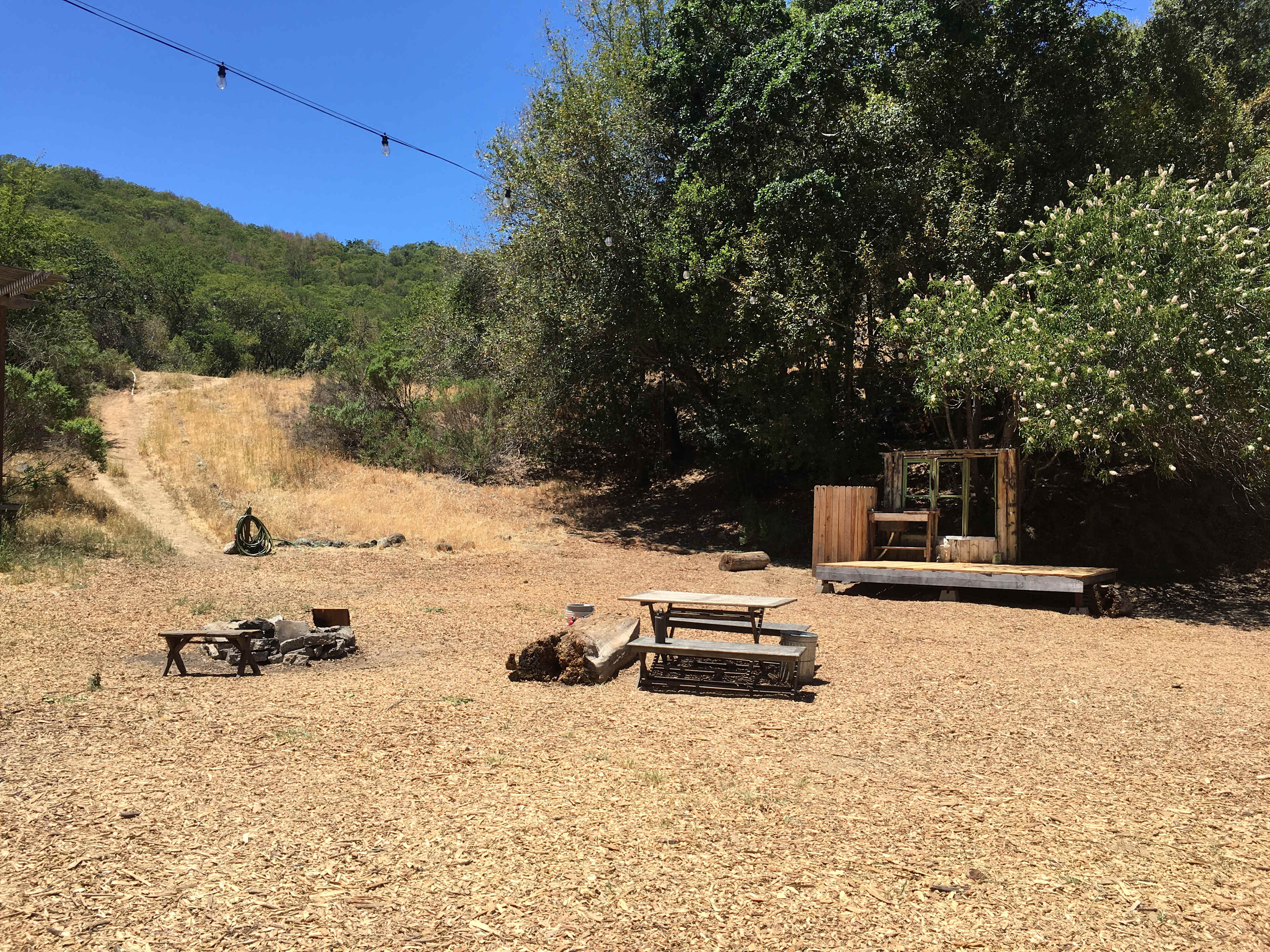 The Olive Farm