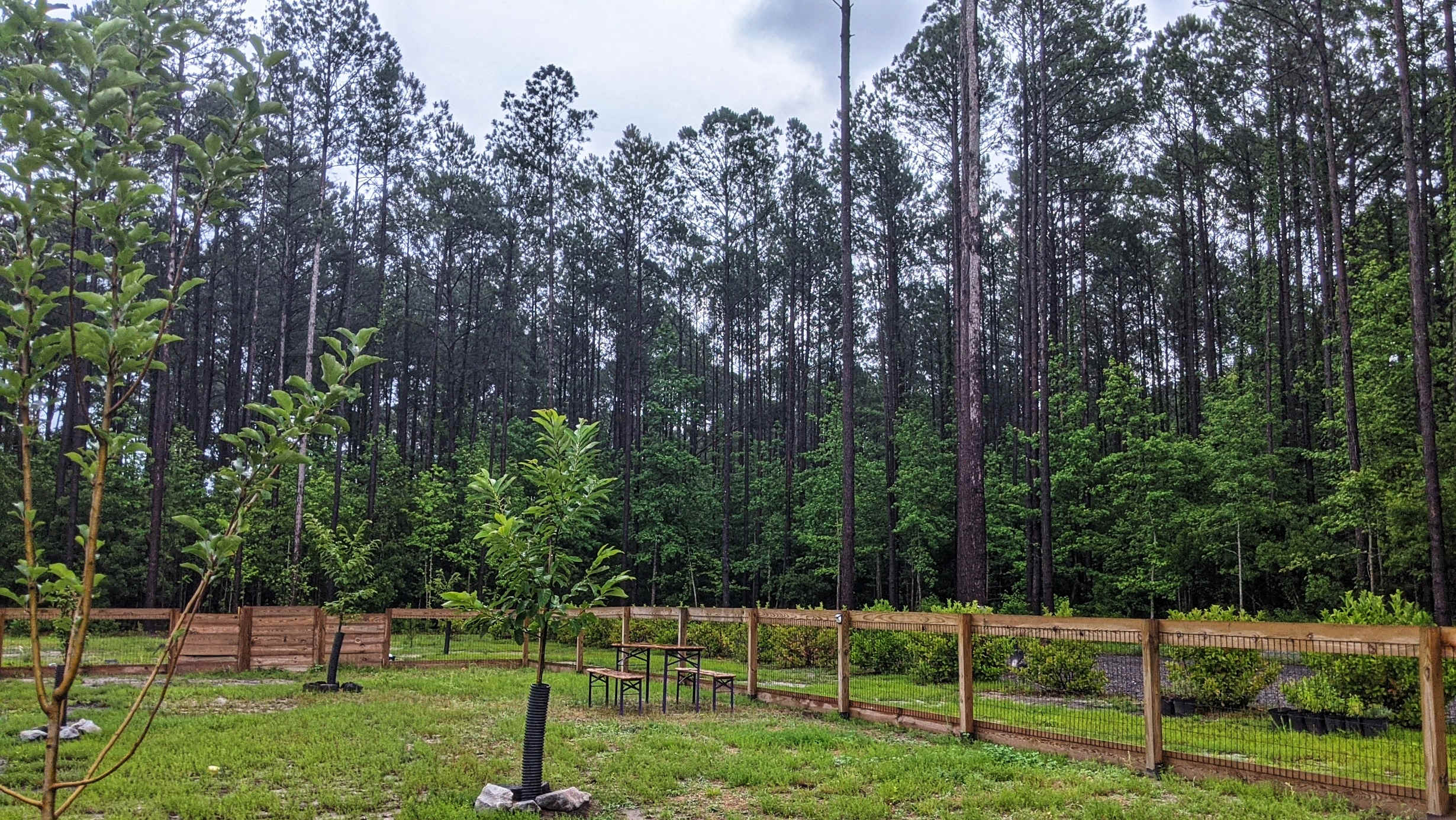 Picture of the site