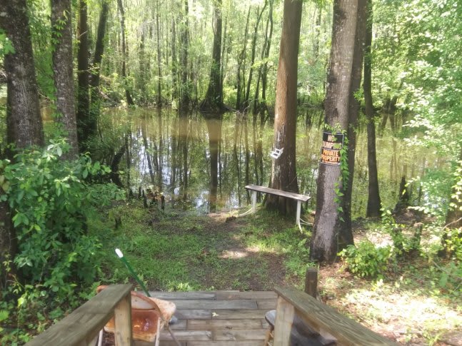 Willetts Landing 