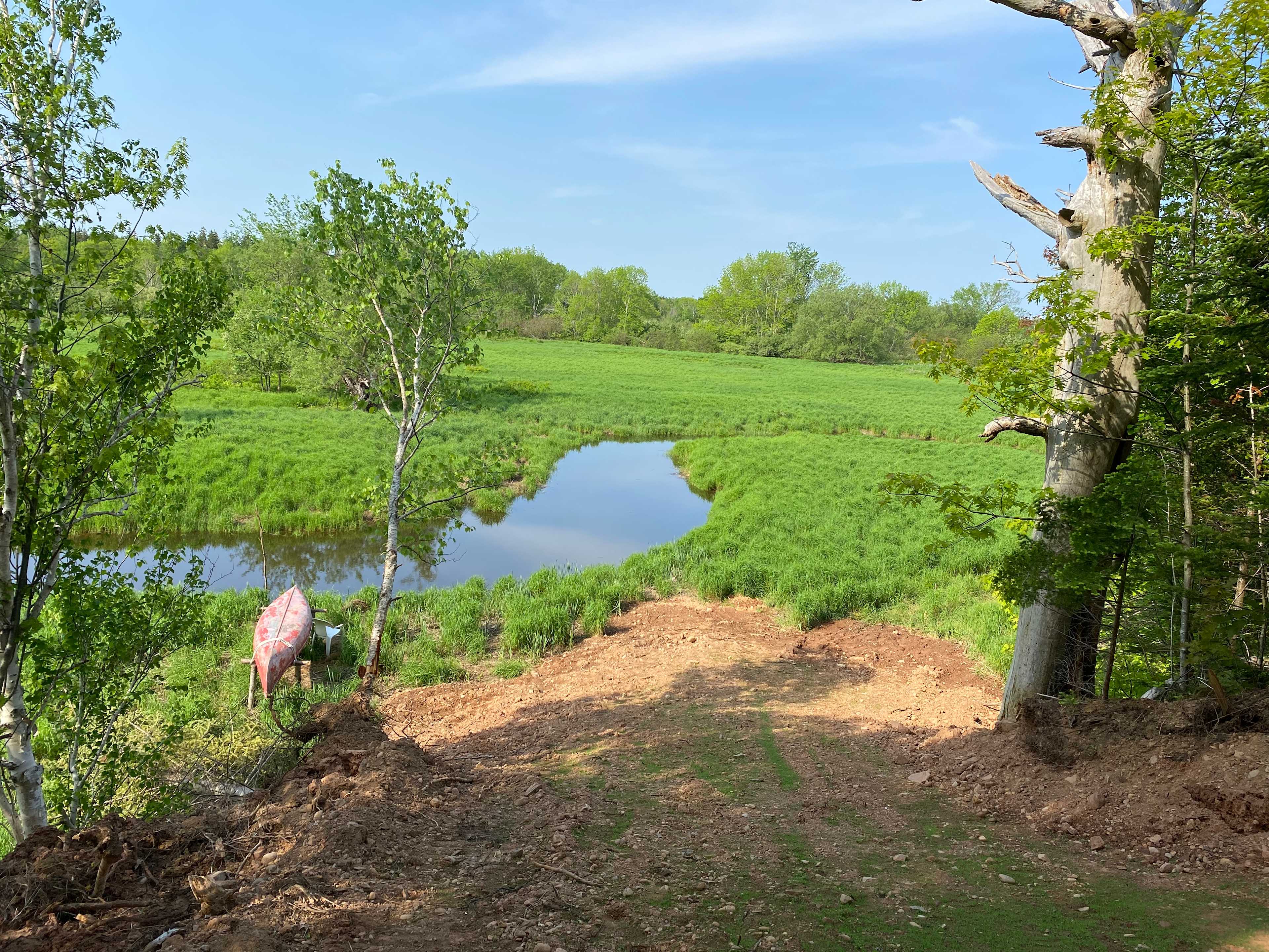 Picture of the site