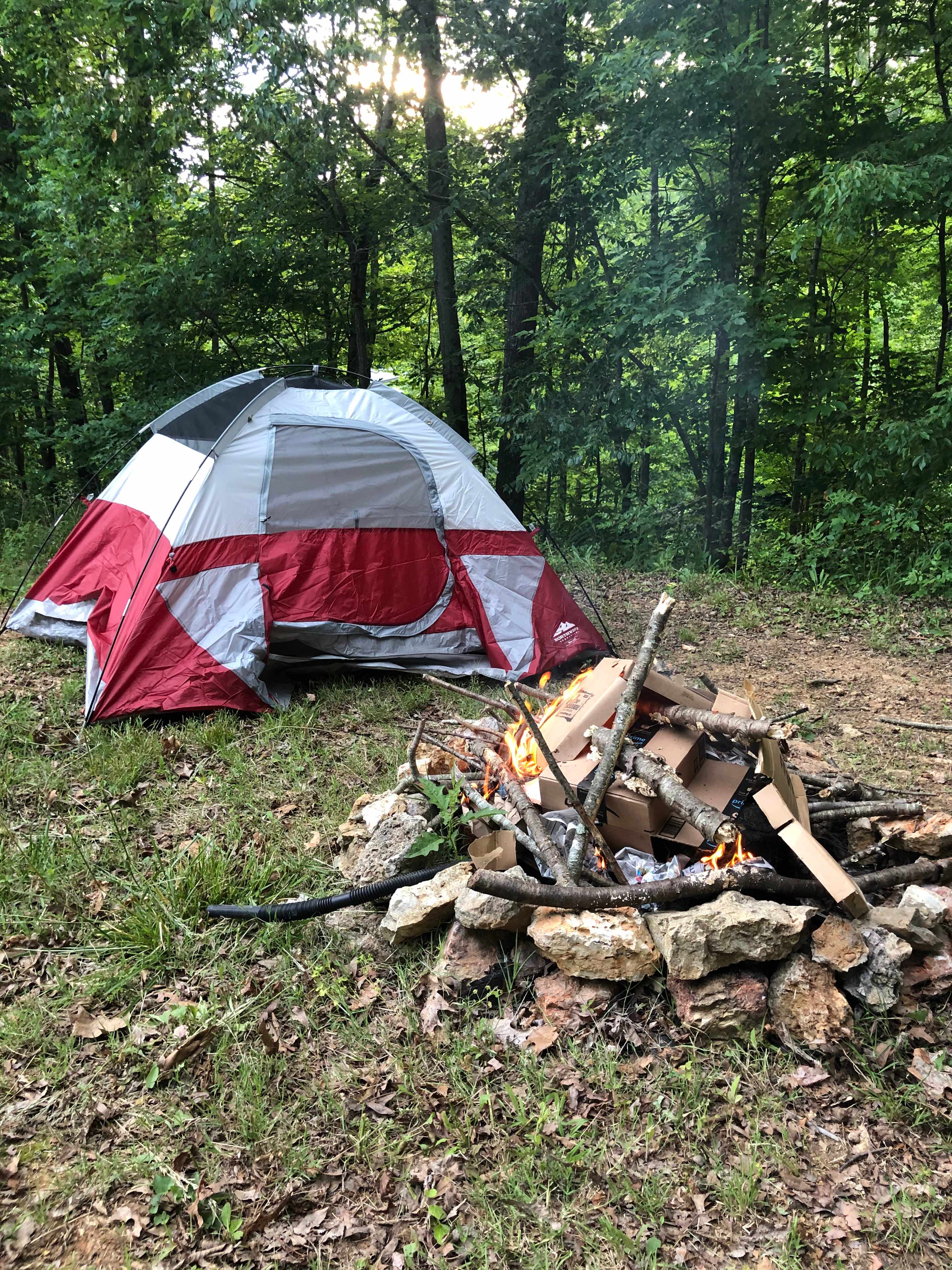 Forest Hideaway