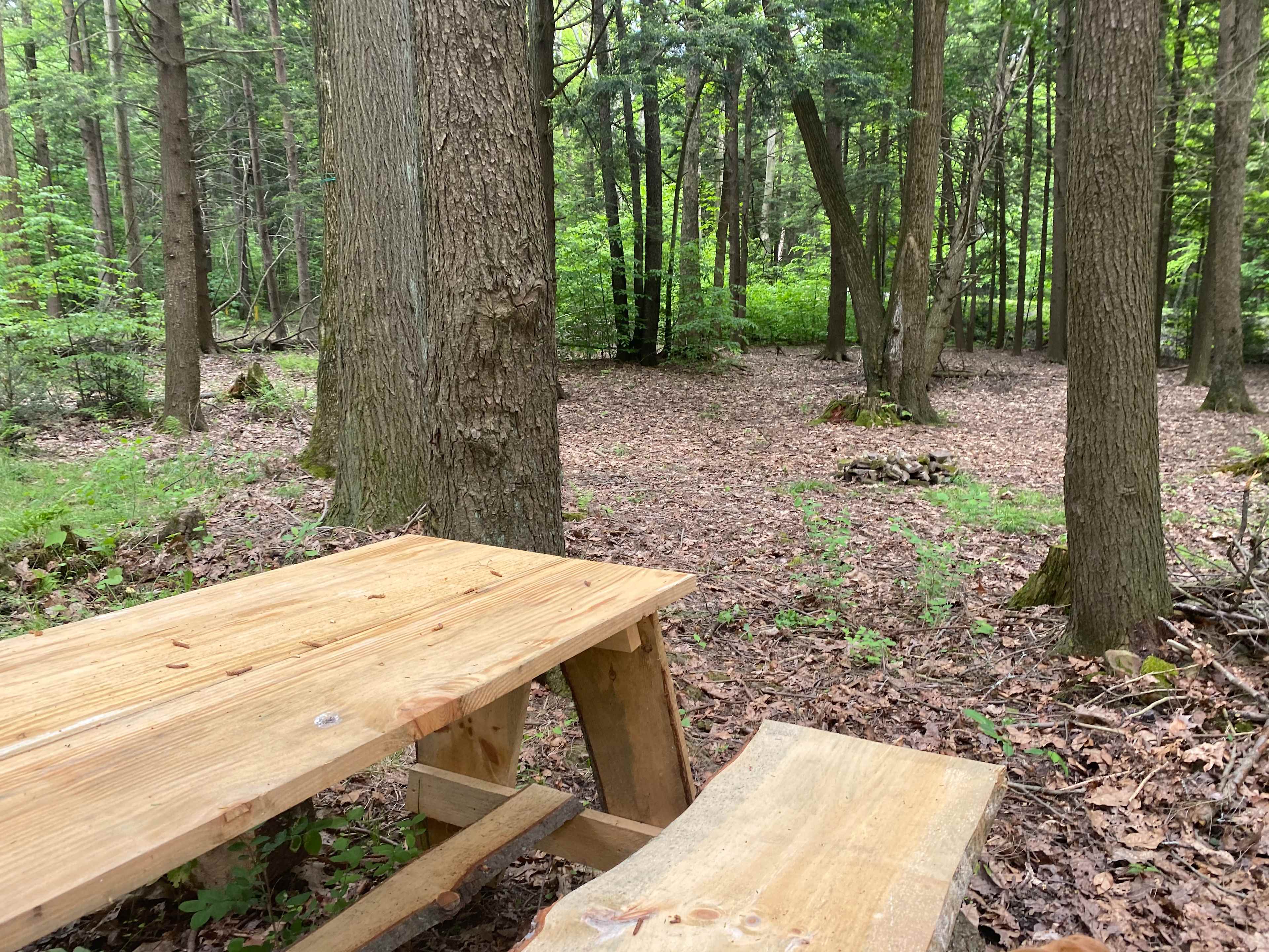 Sleepy Hollow Campground