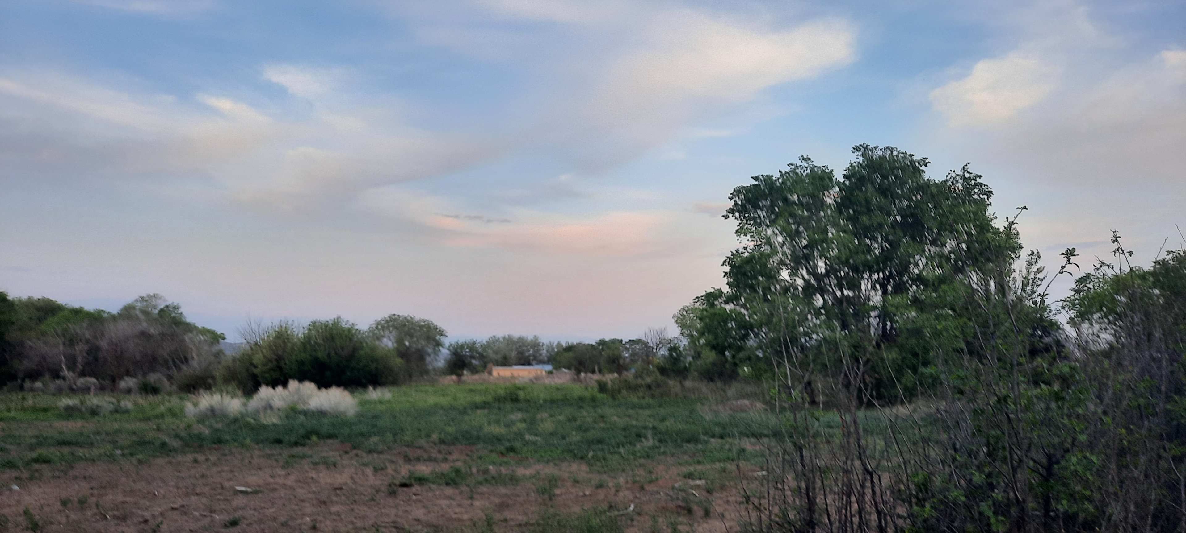 COUNTRY LIVING