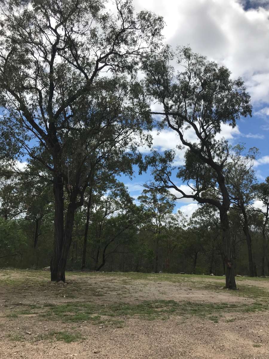 Cheriton Bush Camp