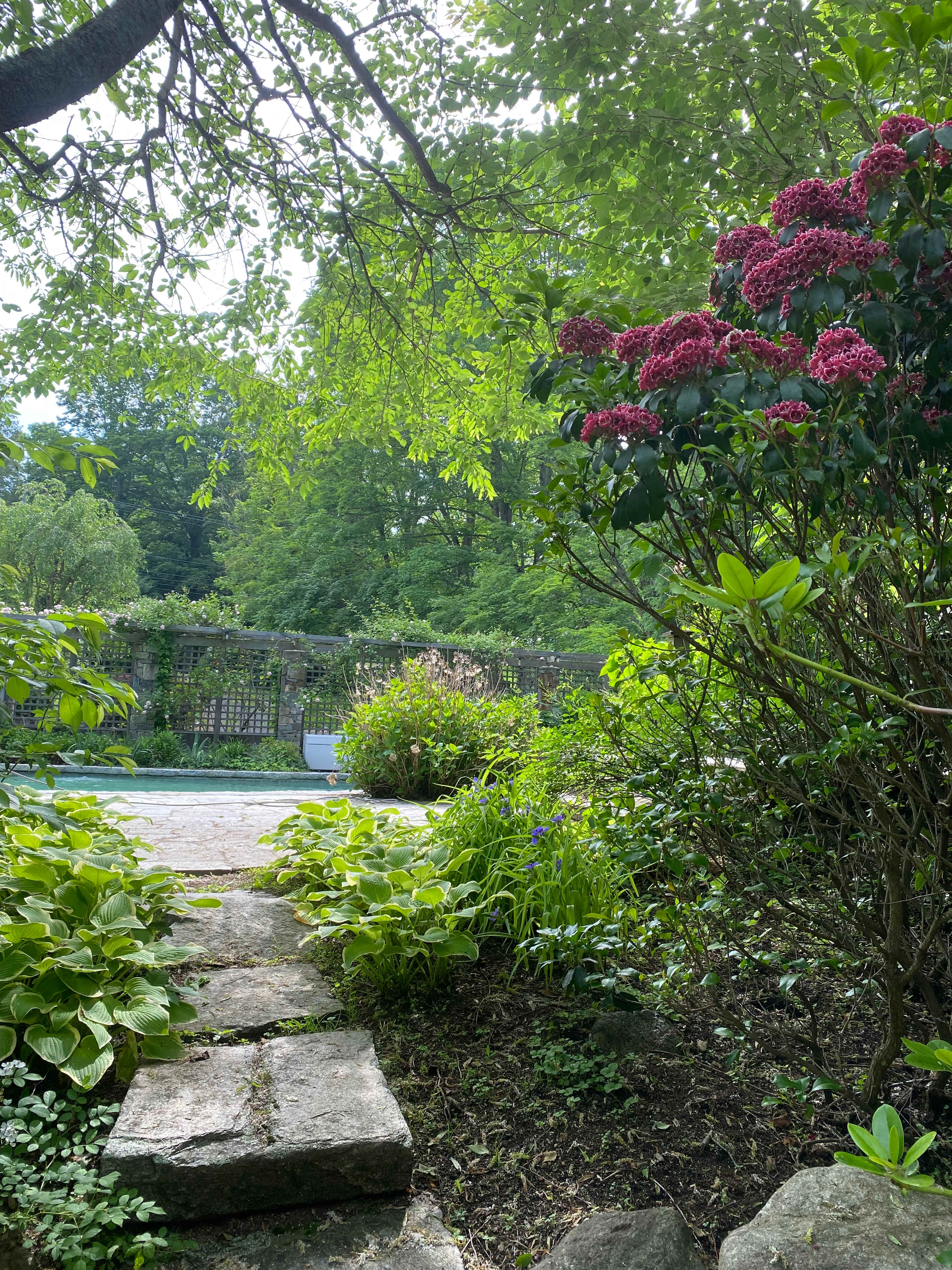 Zen Paradise