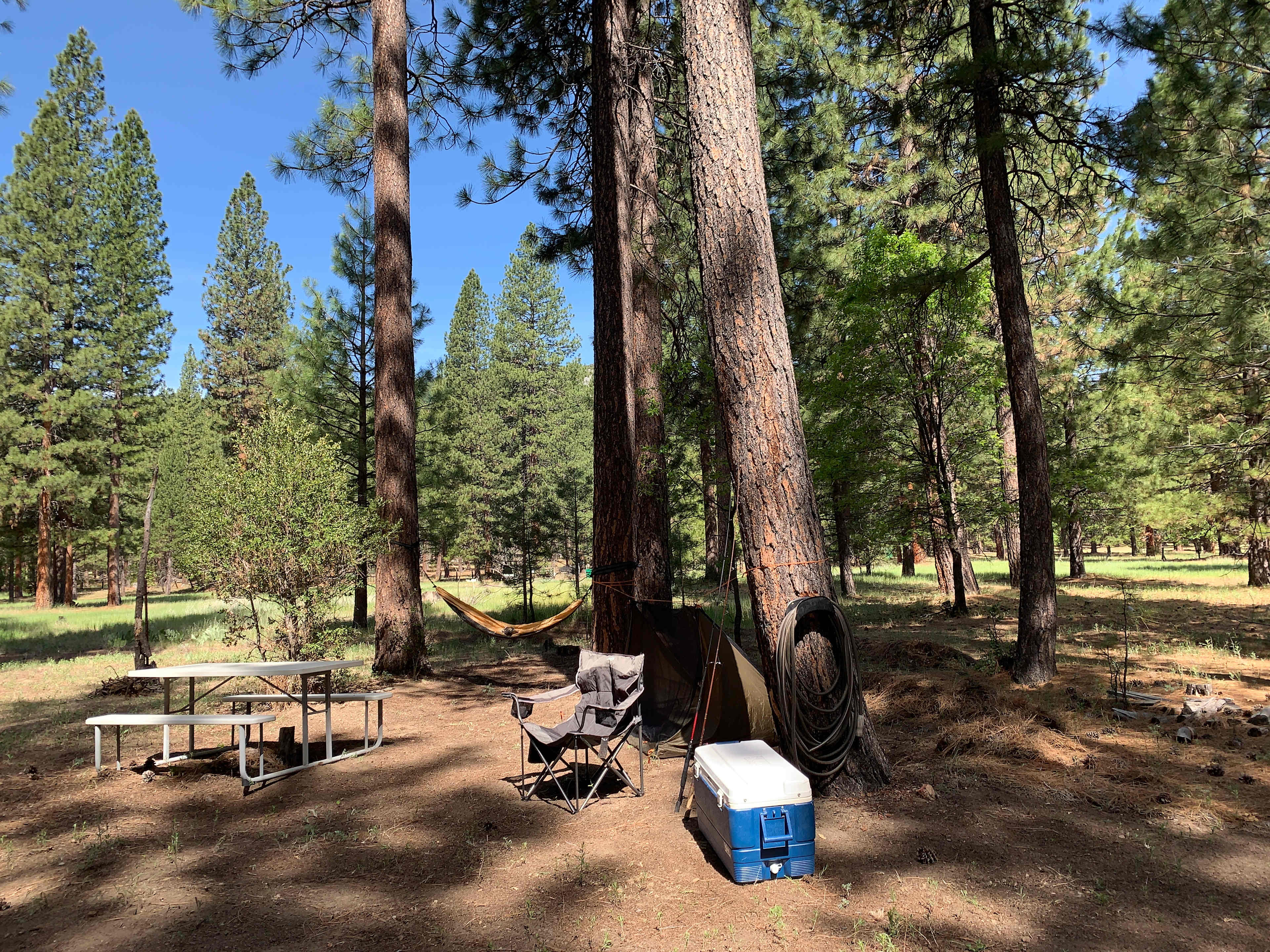 Campsite with camper's gear. 