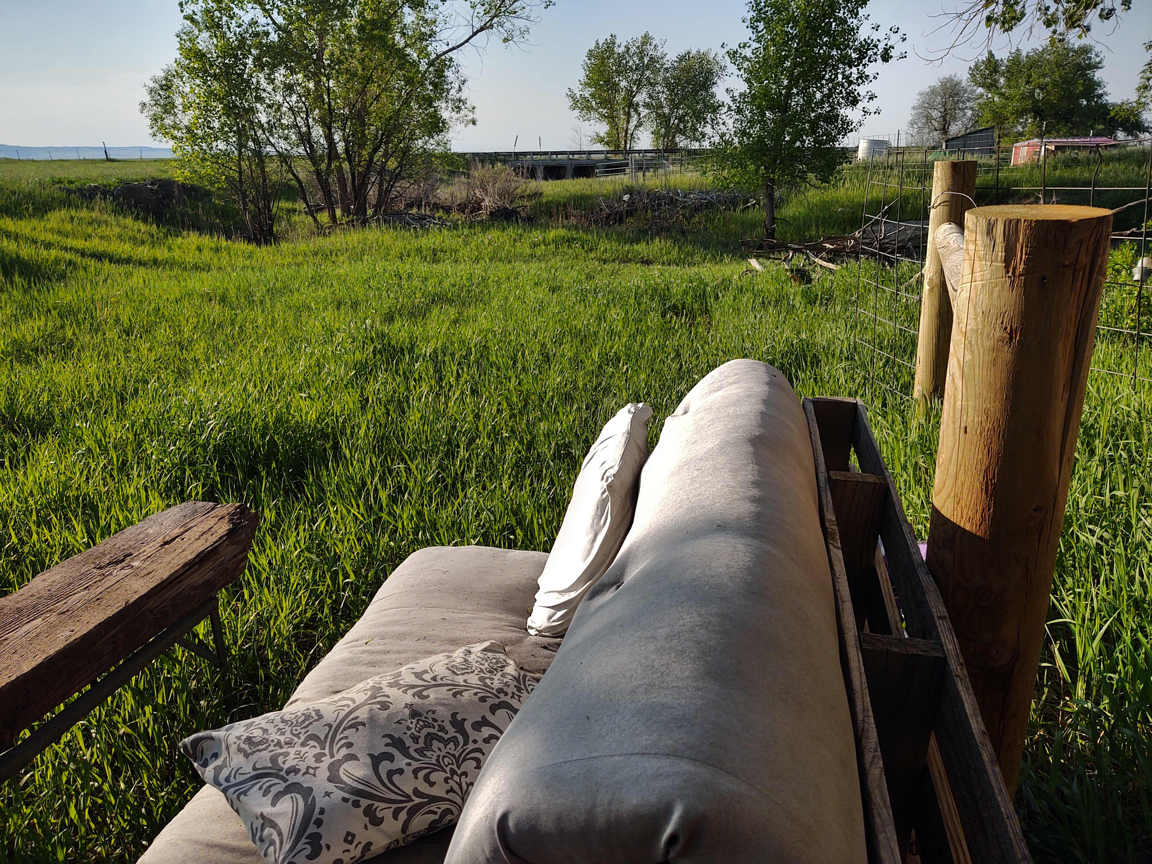 Pasture paradise