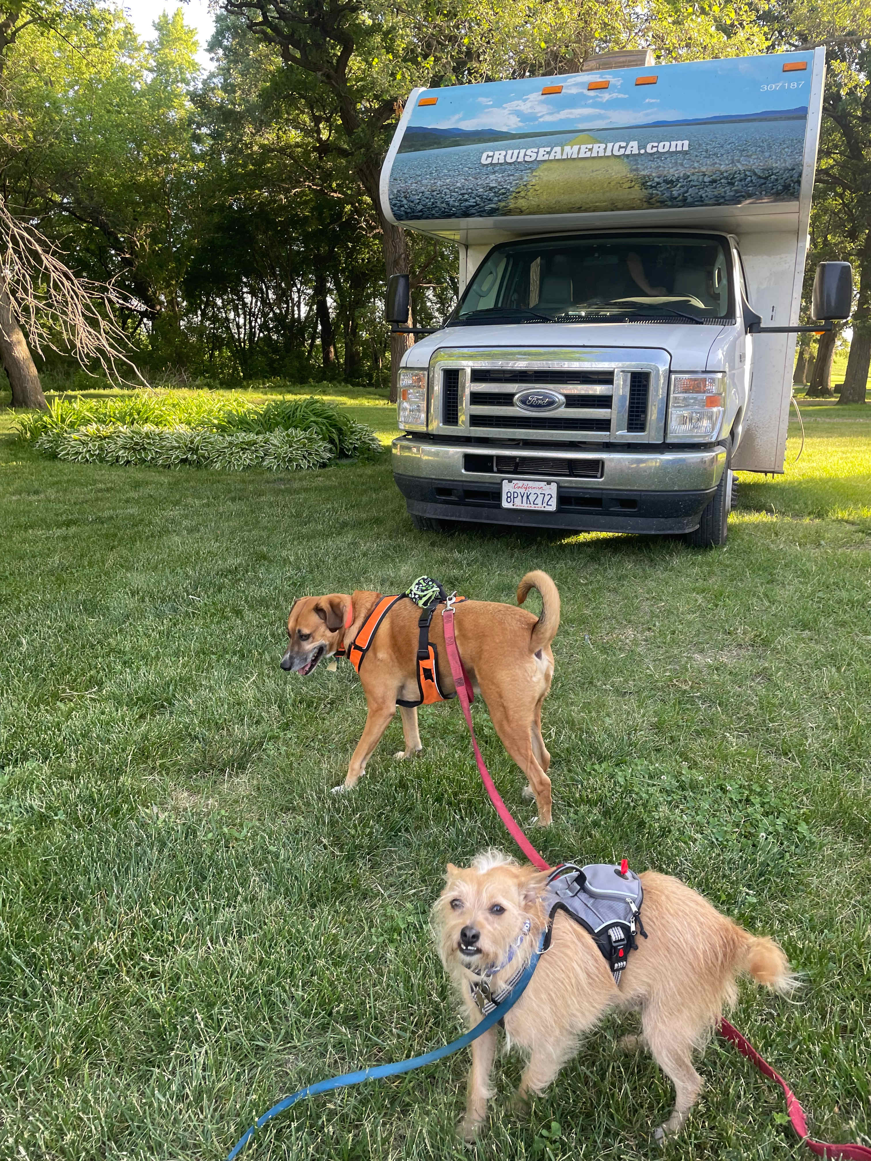 Happy Camping