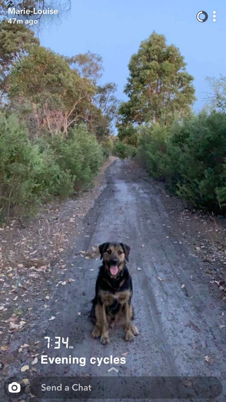 South West Central Bush Block