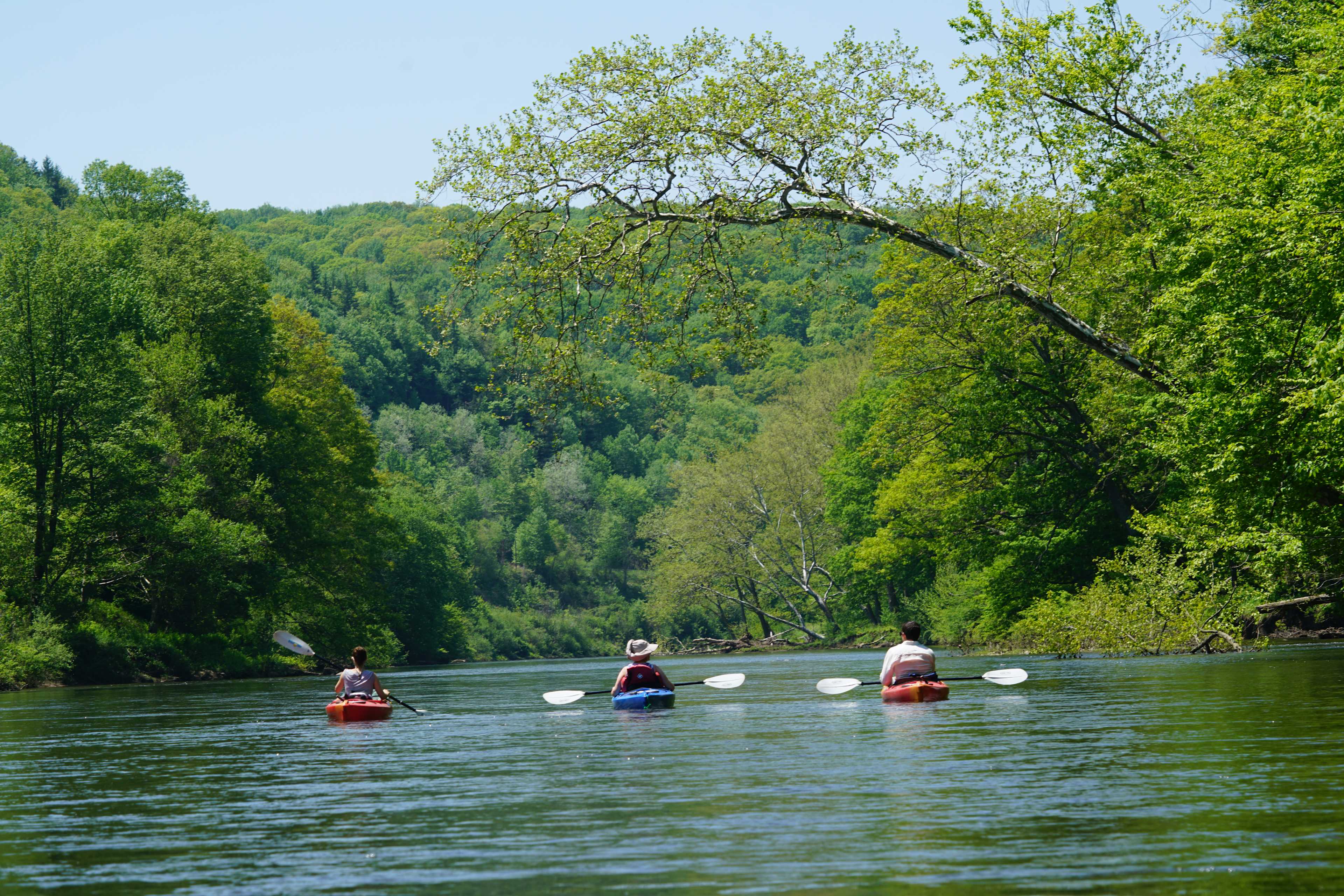 Clarion River View