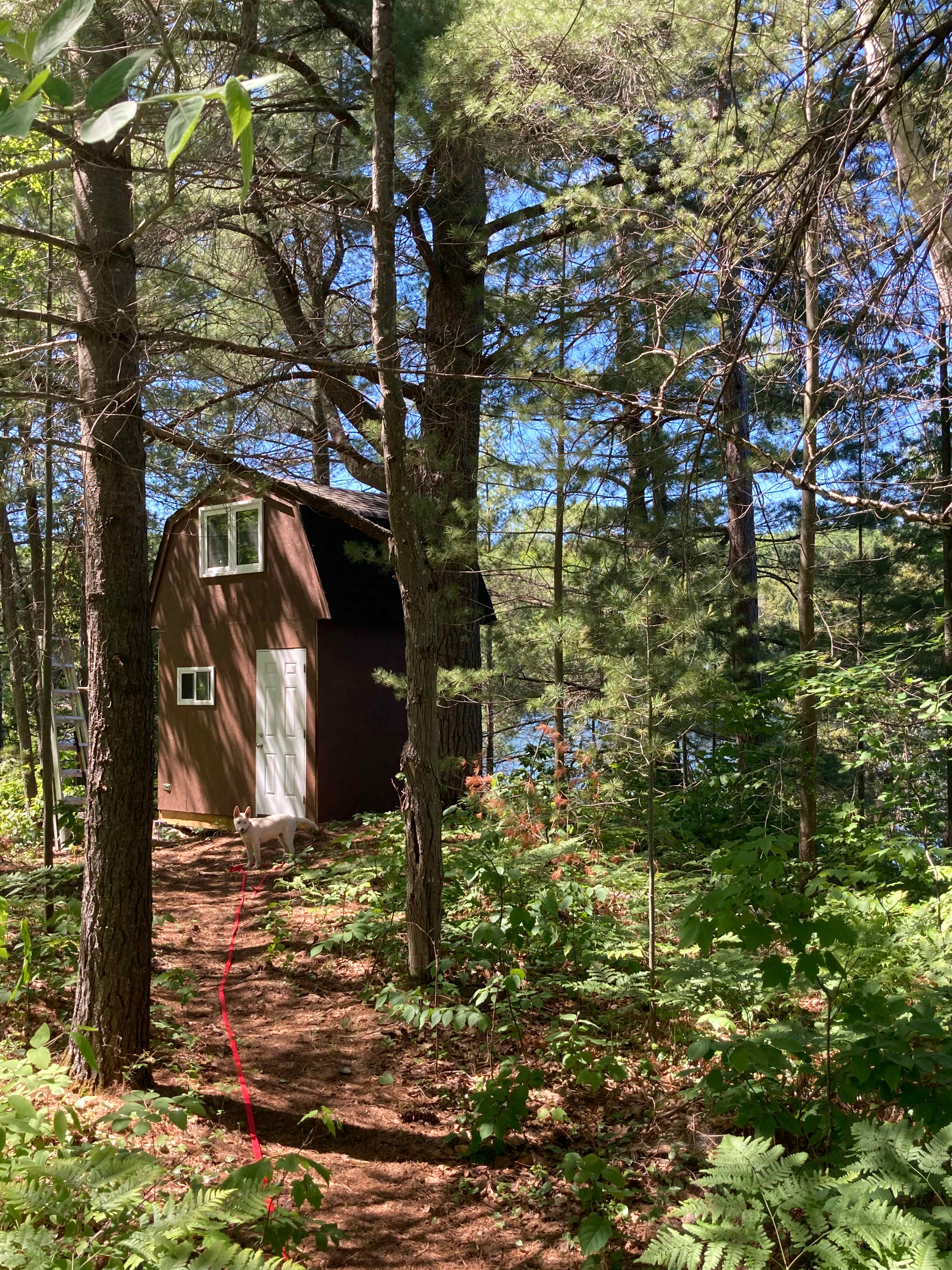 The path from the main property - where the host lives - help just down the path - but full privacy on the bunkie's separate 2 acres   