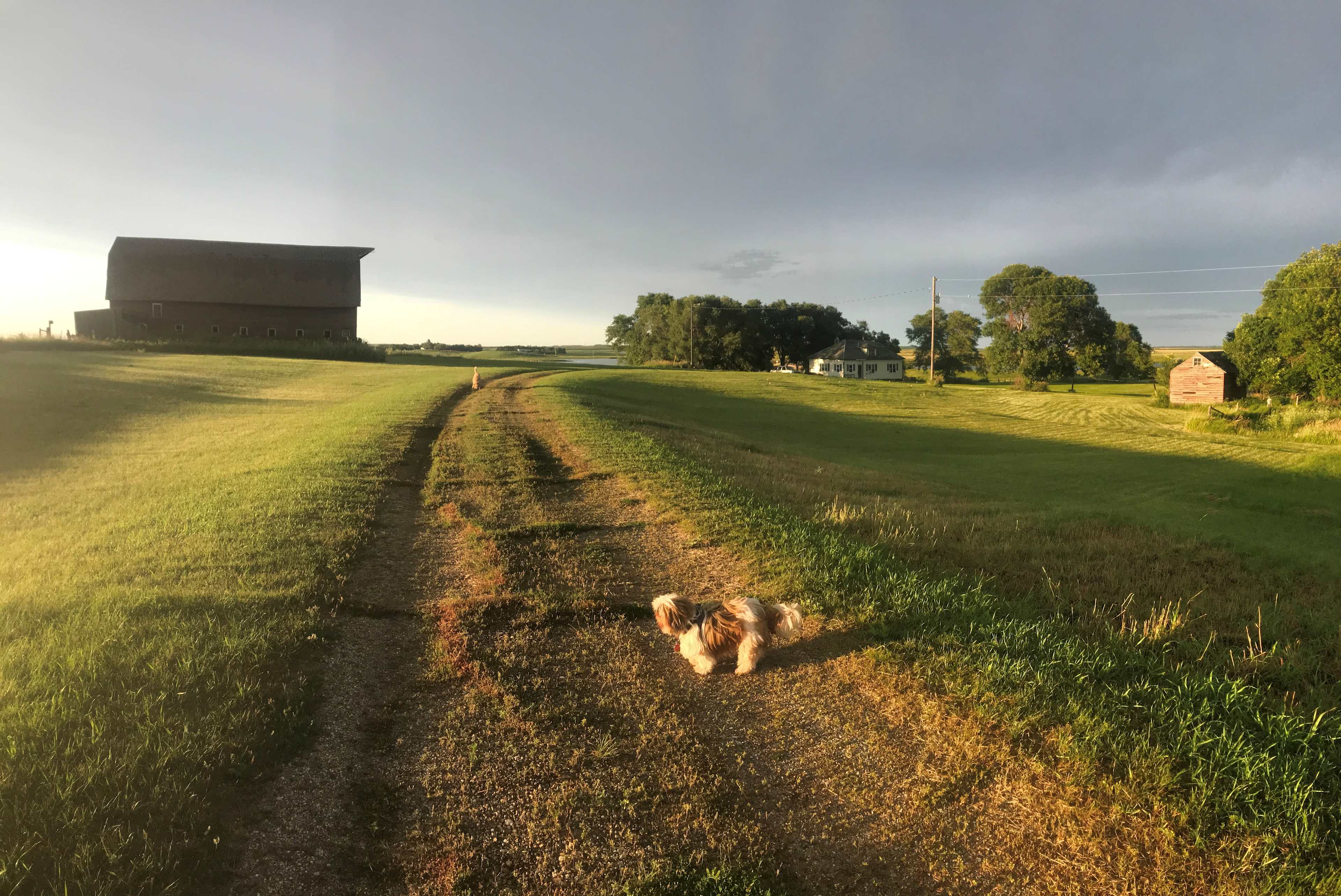 4Quinns Farm