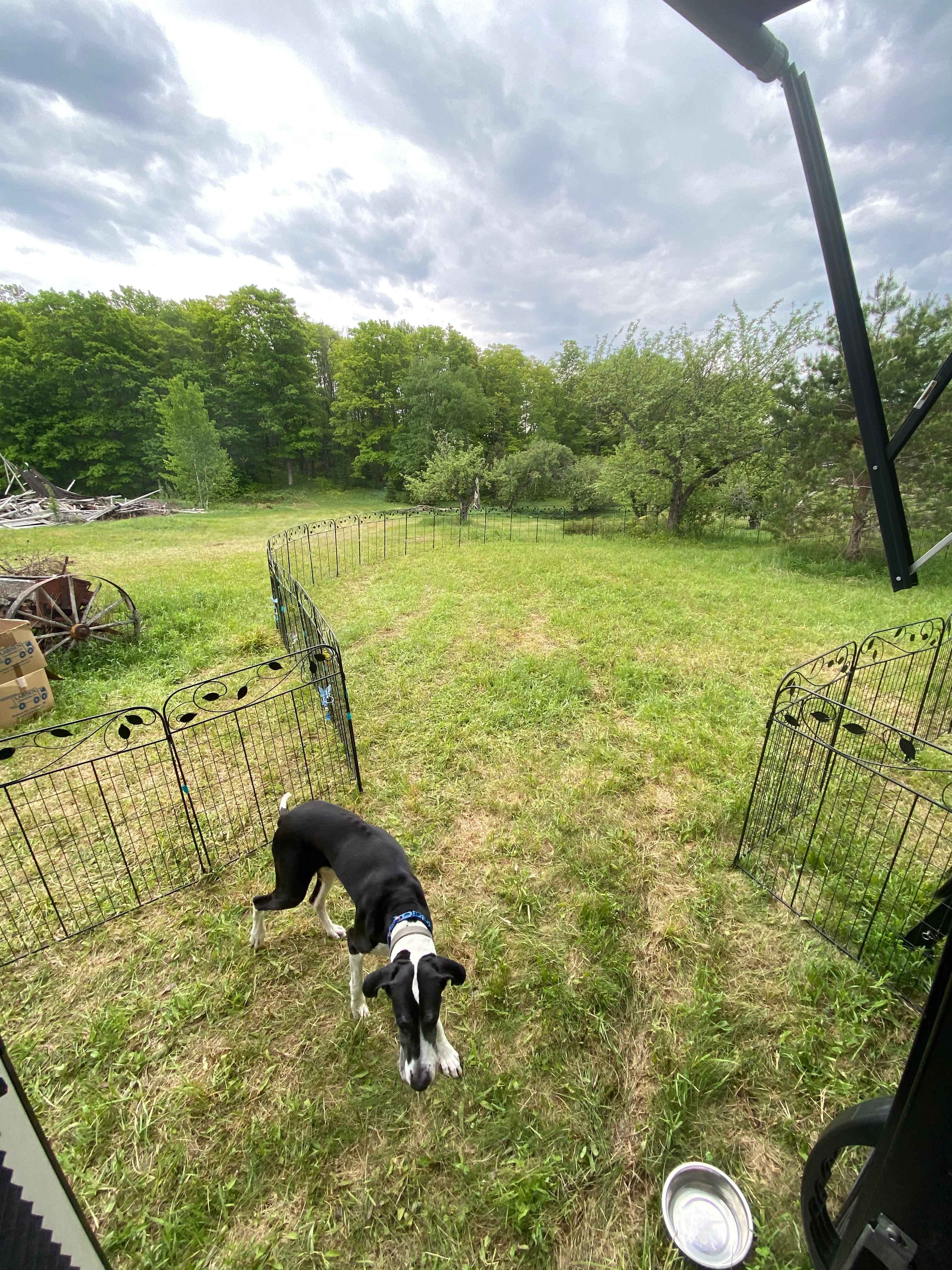 Ted’s Farm - Photo 2