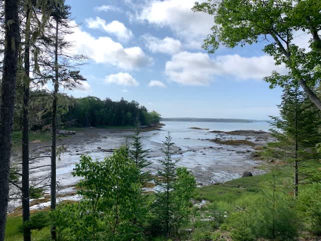 The cove gets very large tides, so you'll be able to see the water recede and come back in, and watch the seabirds enjoy each phase.